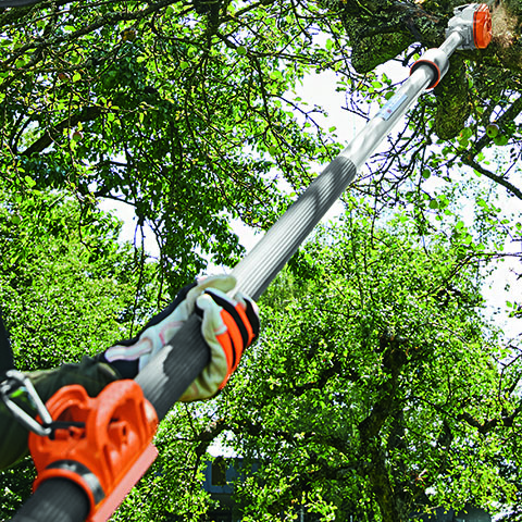 Élagueuse sur perche thermique STIHL HT 103 - Thomas Rural Master