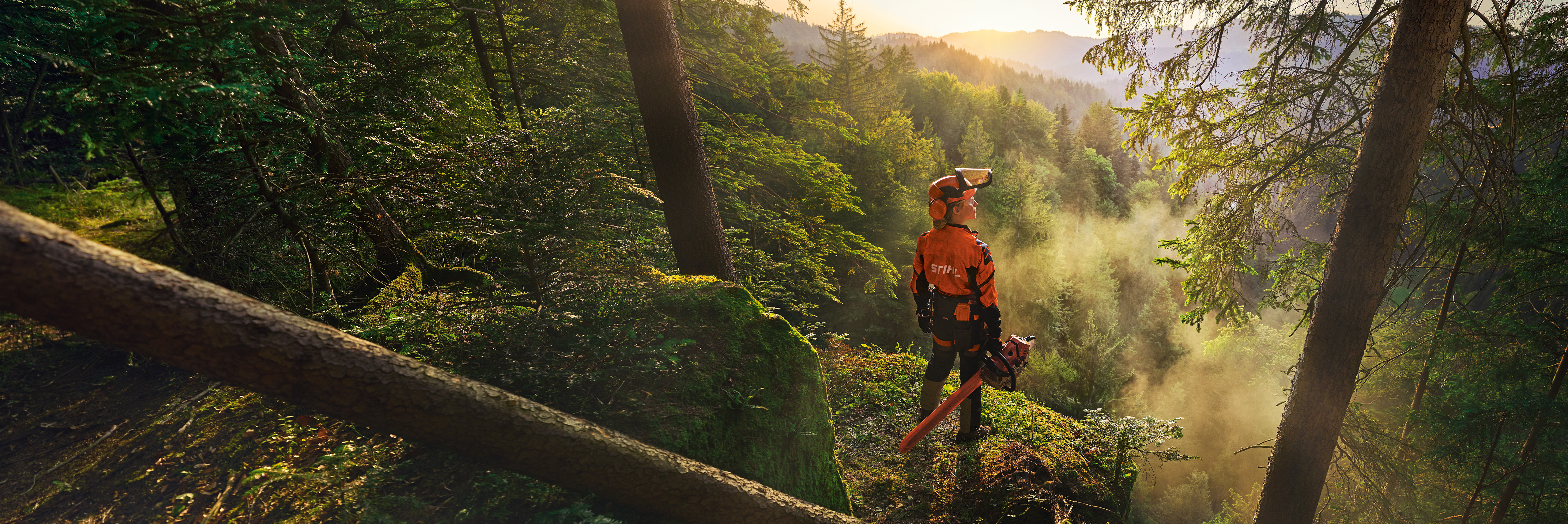 une femme bucheron tient à la main une tronçonneuse MS 500i en forêt face à la lumière et logo 100 ans