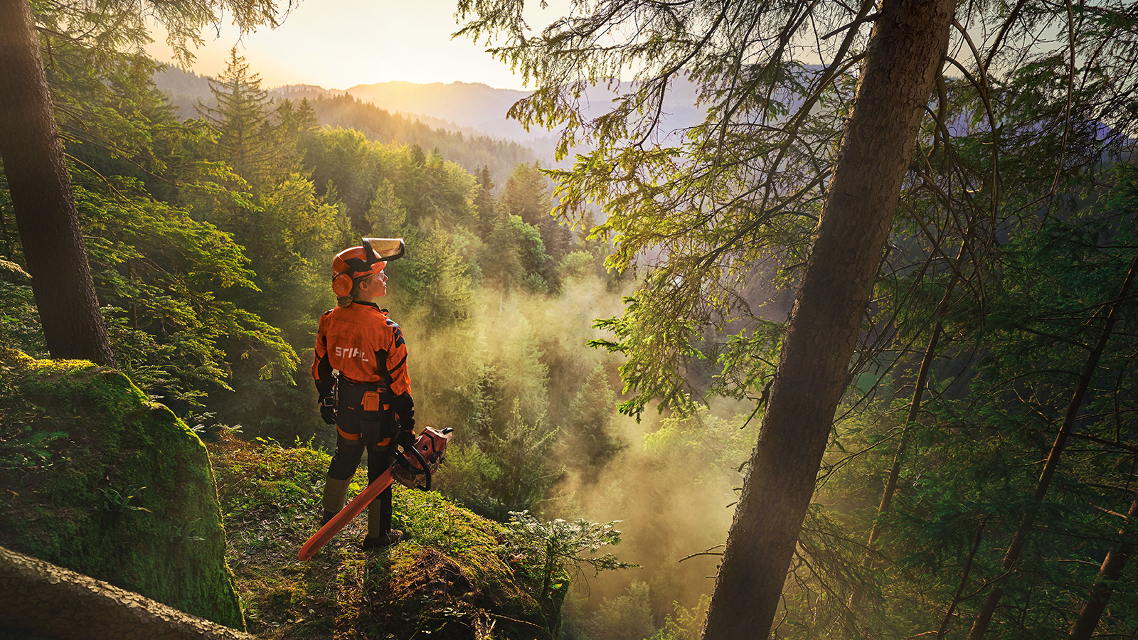 Un ouvrier regarde la forêt, une tronçonneuse à la main.