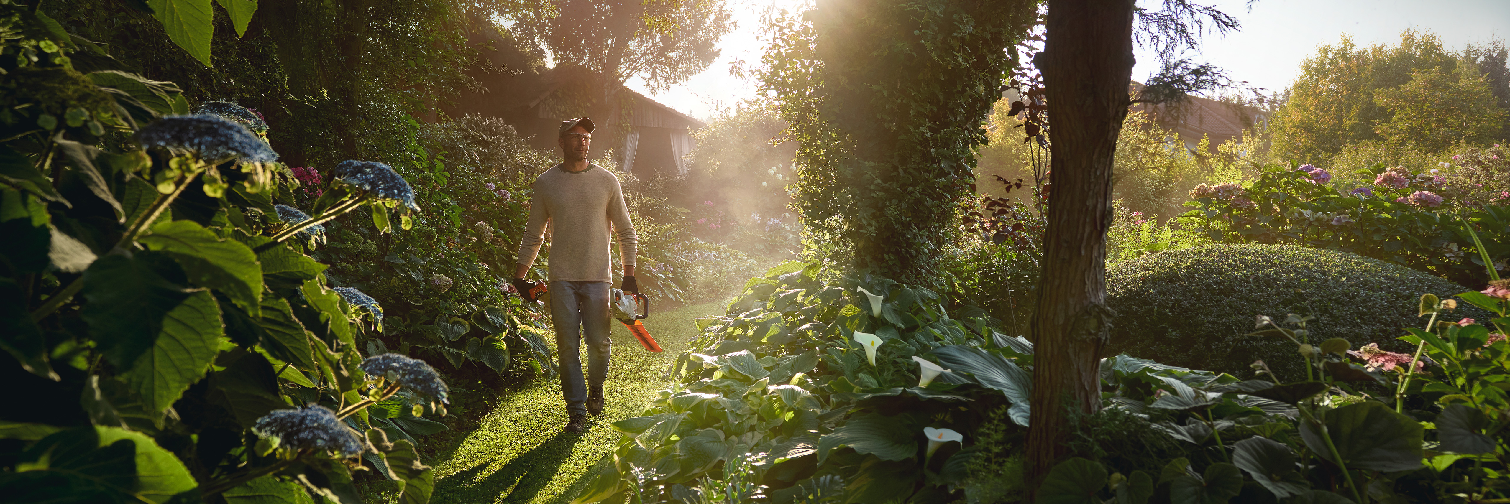 Homme marchant dans un jardin verdoyant et ensoleillé, entre de grands buissons d'hortensias bleus et d'autres plantes à fleurs, muni d'un taille-haie STIHL gris et orange. À l'arrière-plan, une petite cabane en bois est visible à travers les arbres.