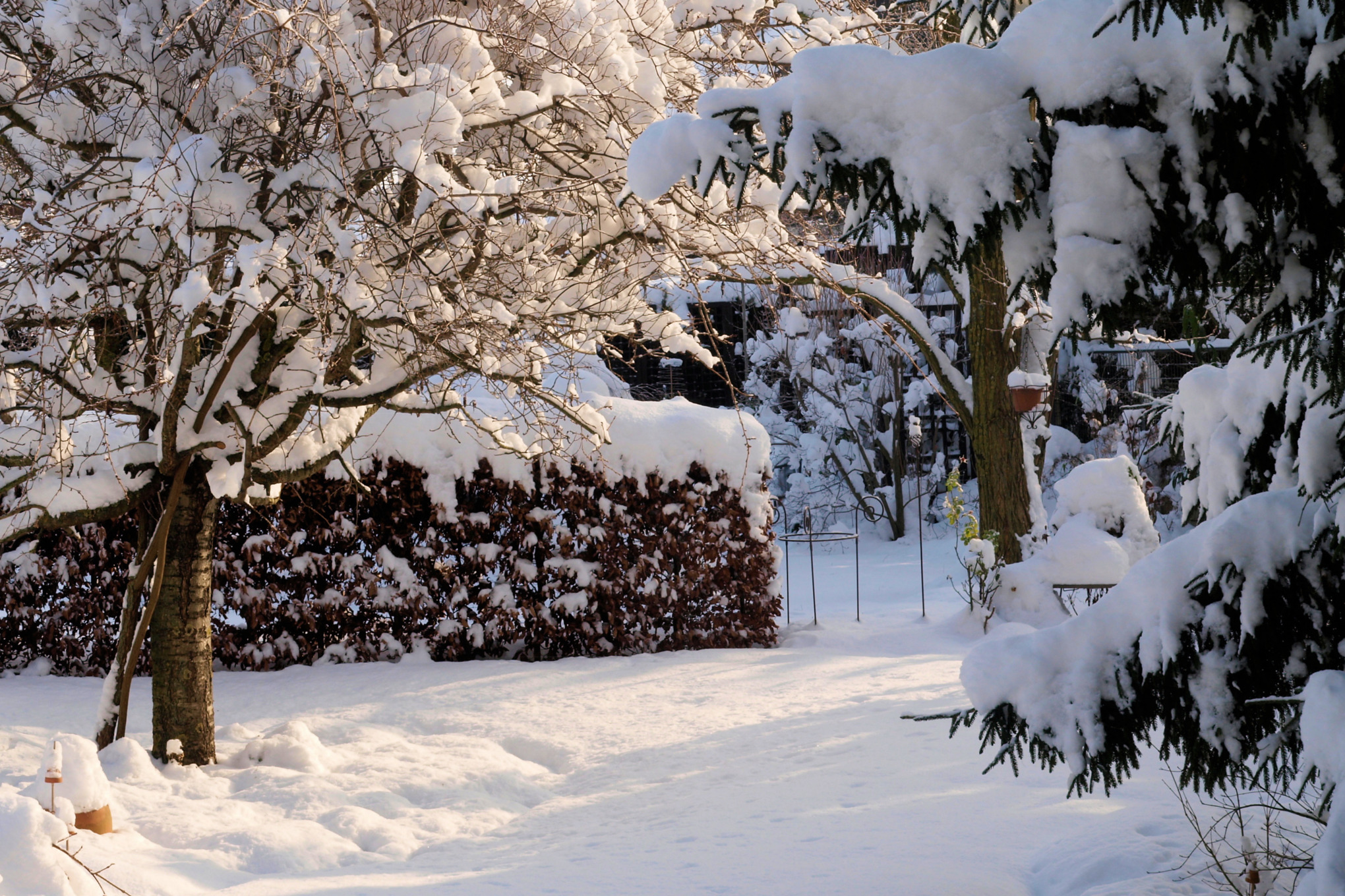 Jardin couvert de neige