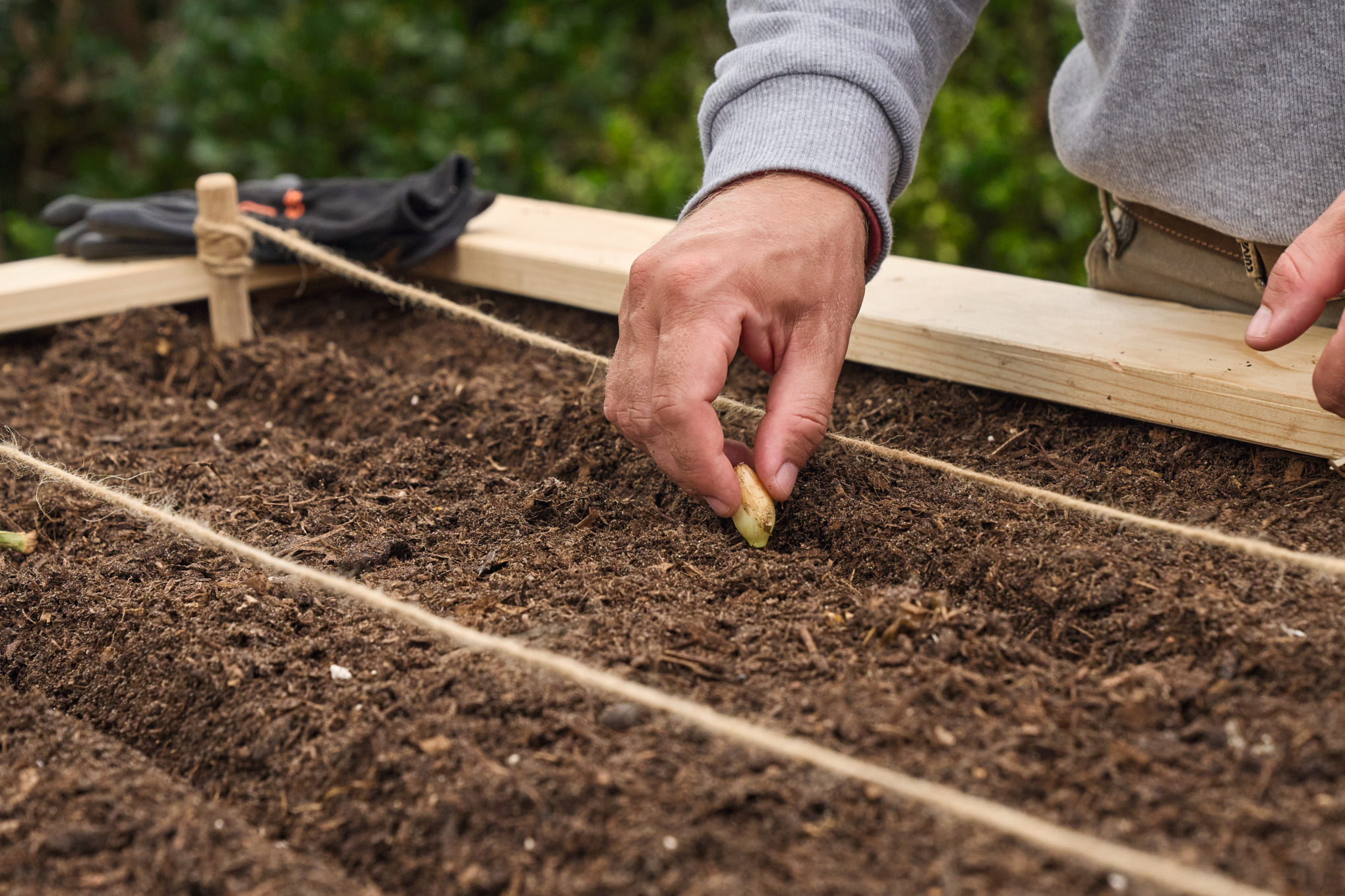 Aménager et cultiver un potager surélevé