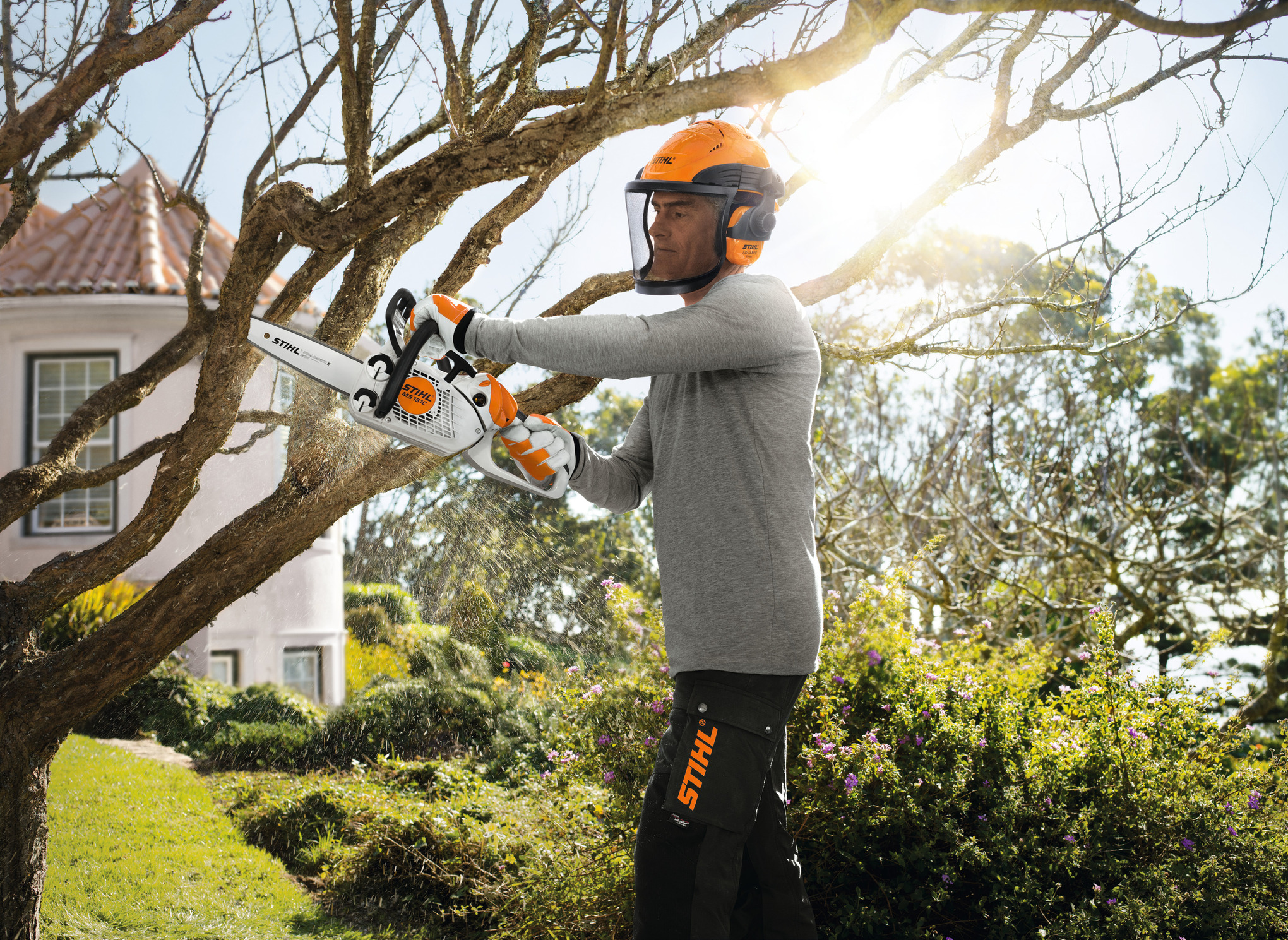 MS 151 C-E Rollo E mini 25cm - 1/4 PM3 TRONCONNEUSE STIHL Très Légère