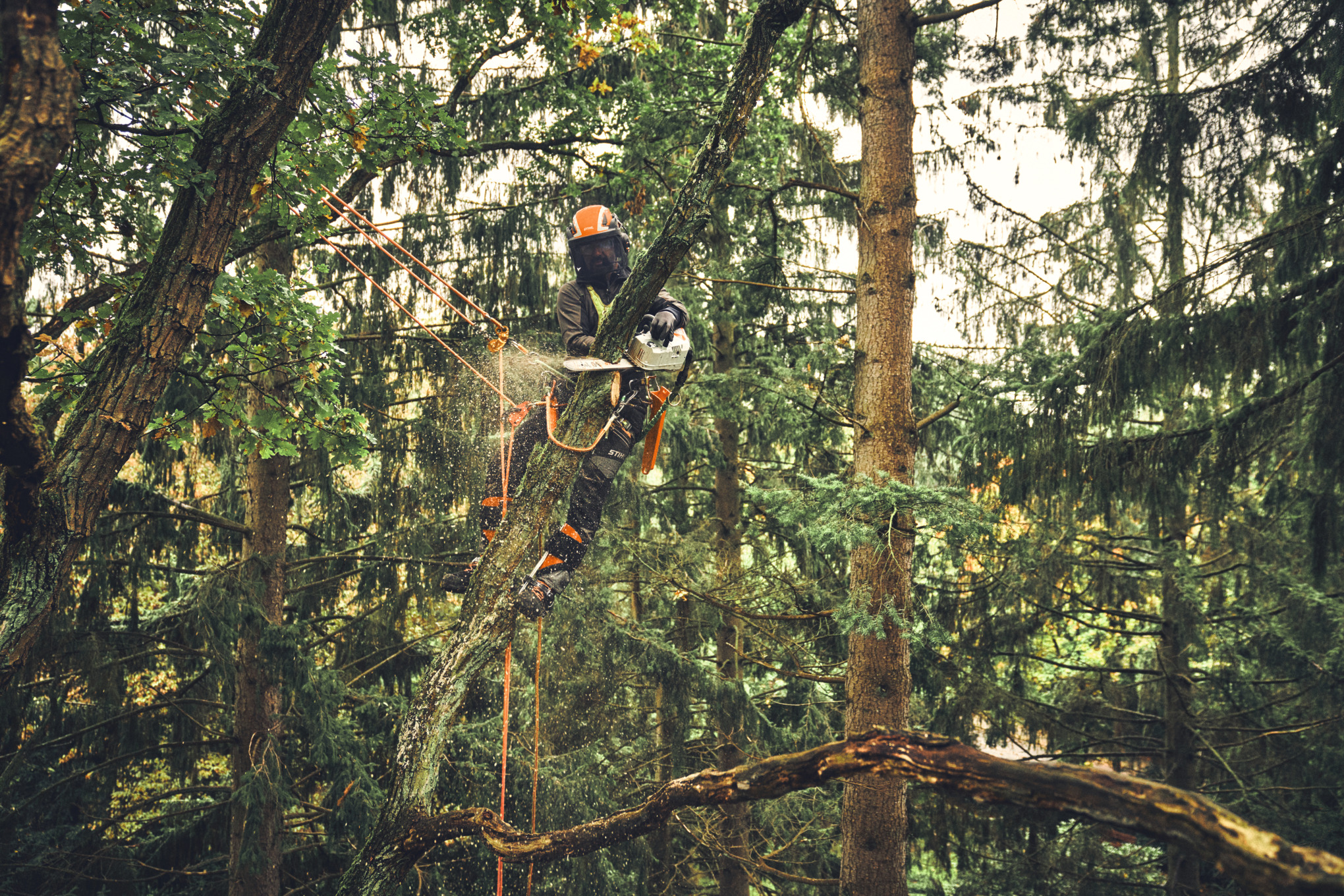 Tronçonneuse MSA 220 TC-O sans batterie ni chargeur