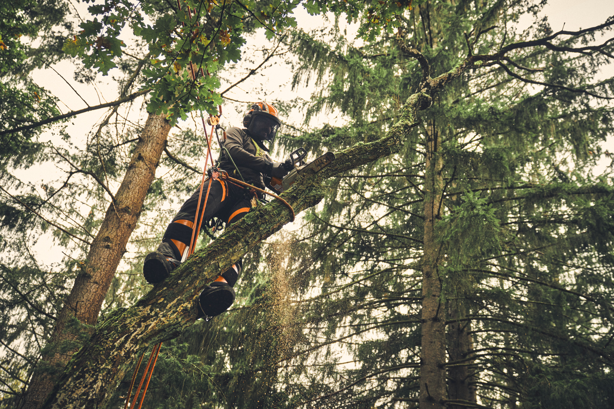 Tronçonneuse MSA 220 TC-O sans batterie ni chargeur