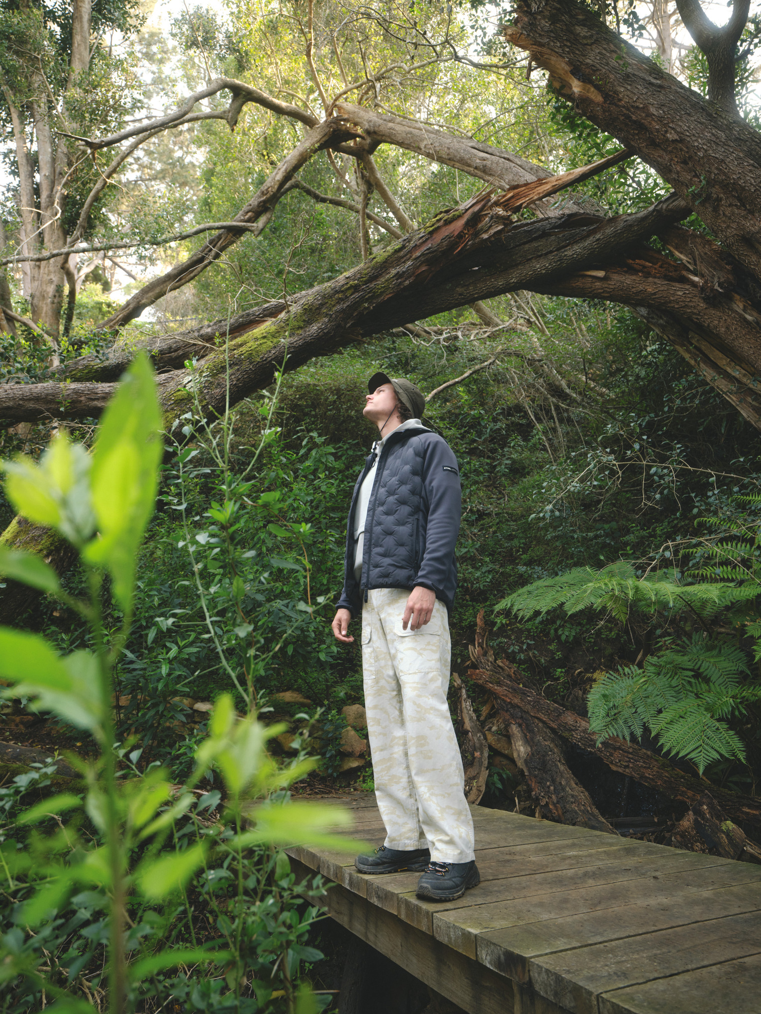 Veste HYBRID HOOD grise homme