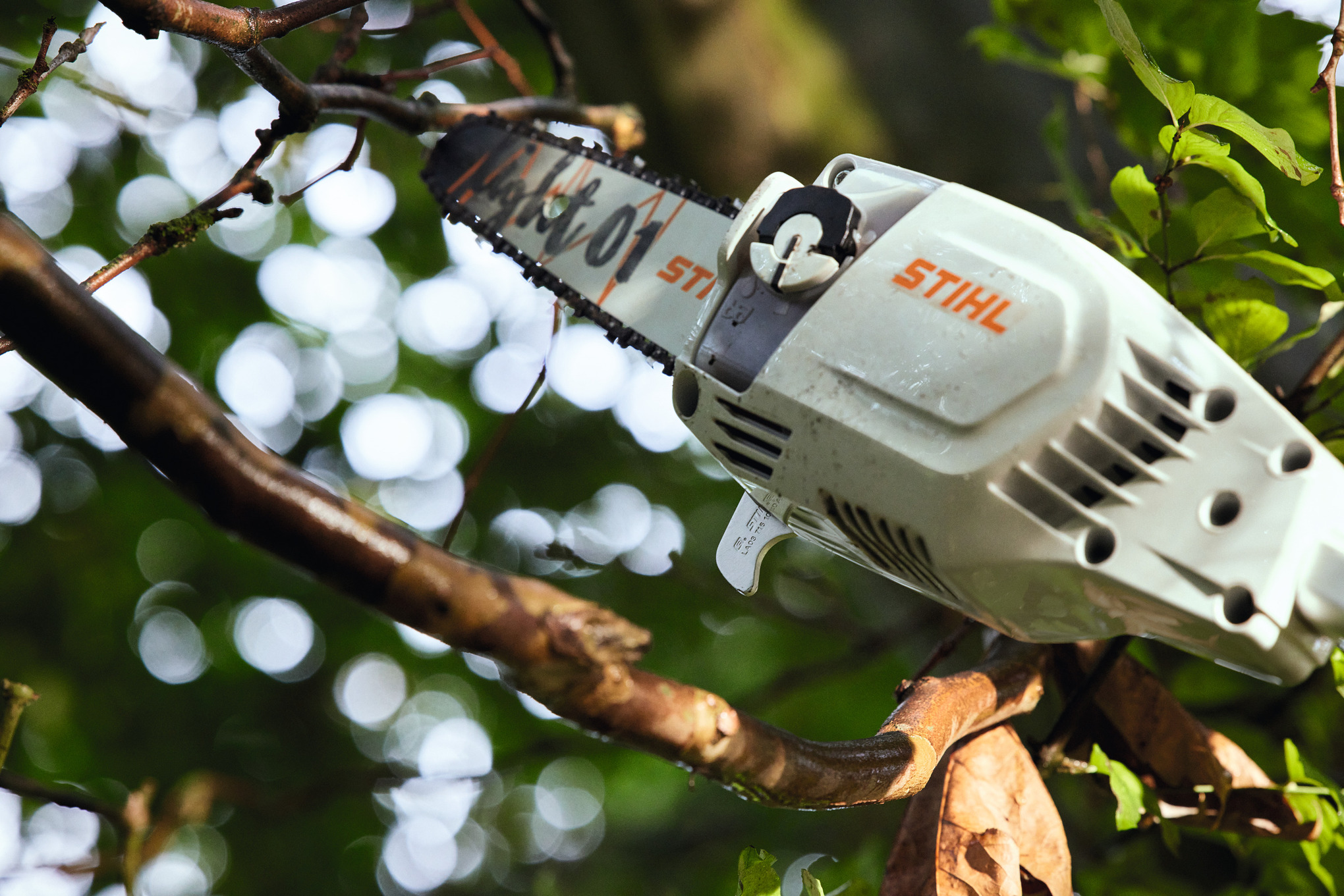 Perche élagage HTA 86 sans batterie ni chargeur