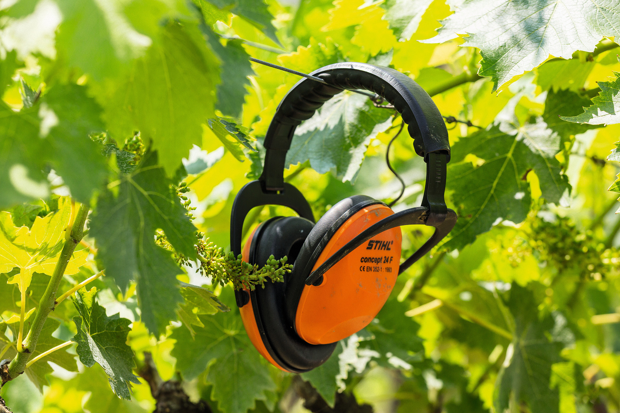 Protège-oreilles CONCEPT 24F