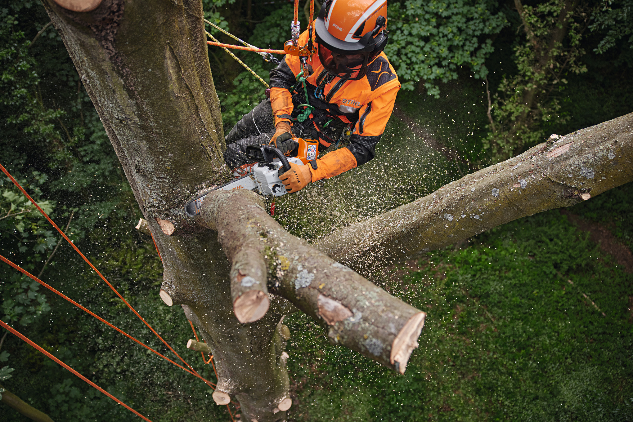 un homme équipé d'un casque élague un arbre en hauteur avec la tronçonneuse MSA 220 TC-O