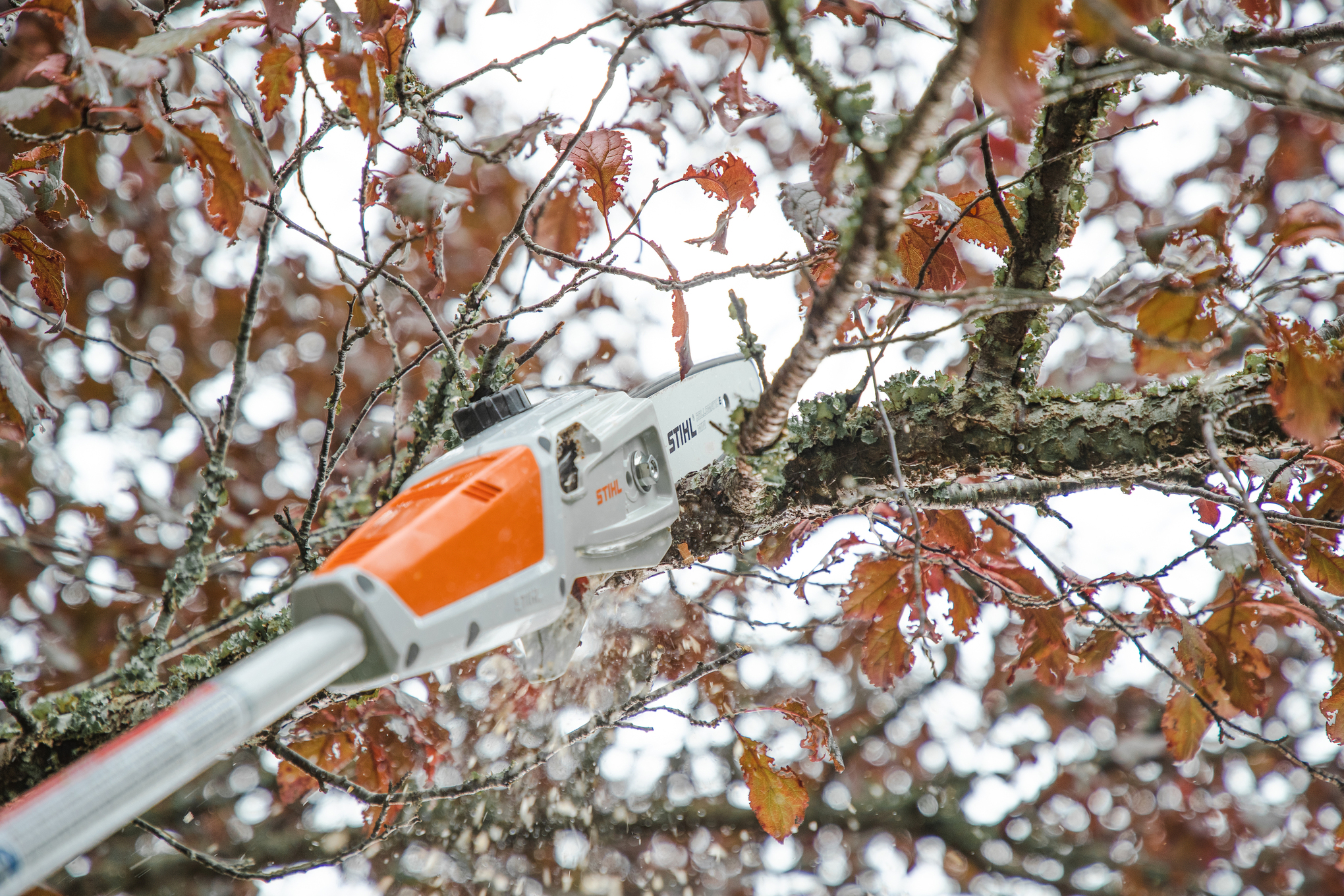 PERCHES D'ELAGAGE A BATTERIE STIHL POUR TRAVAILLER EN HAUTEUR EN TOUTE  SECURITE - MAISON MAYOUD