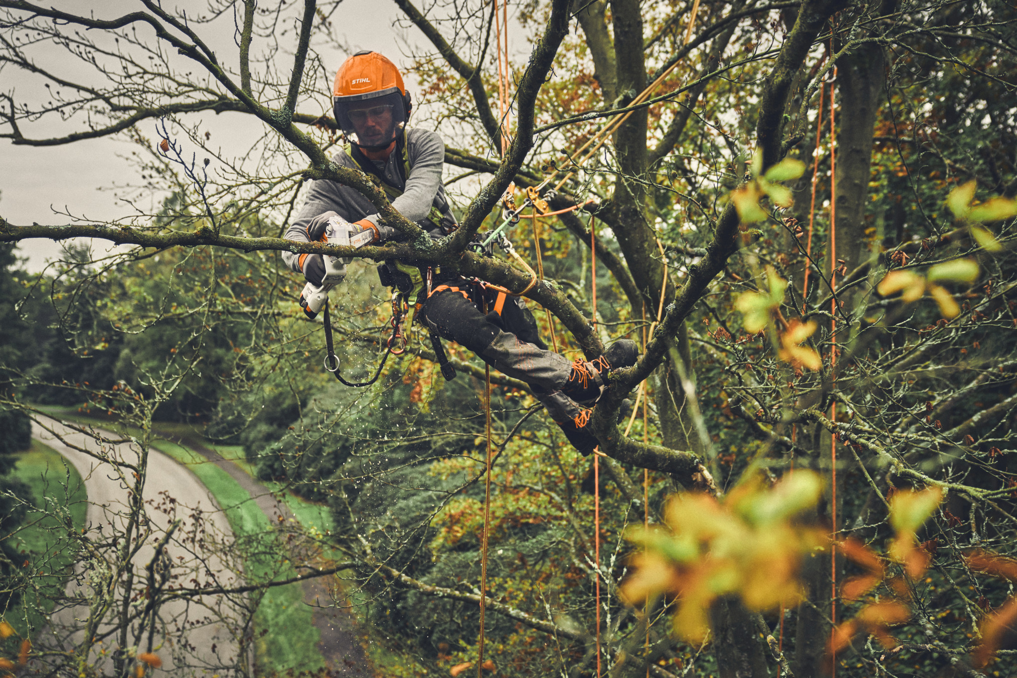 Homme élaguant la cime d’un arbre avec une scie de jardin à batterie STIHL GTA 40