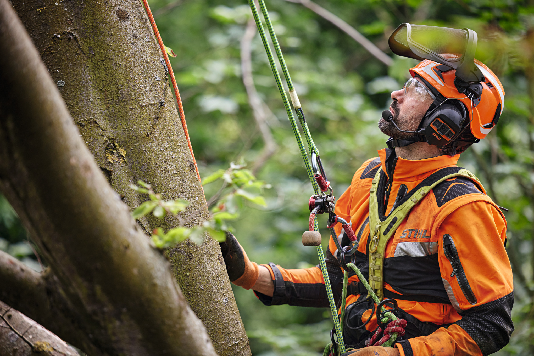 Un professionnel de l'arboriculture est suspendu à un arbre à feuilles caduques à l'aide d'un harnais de sécurité.