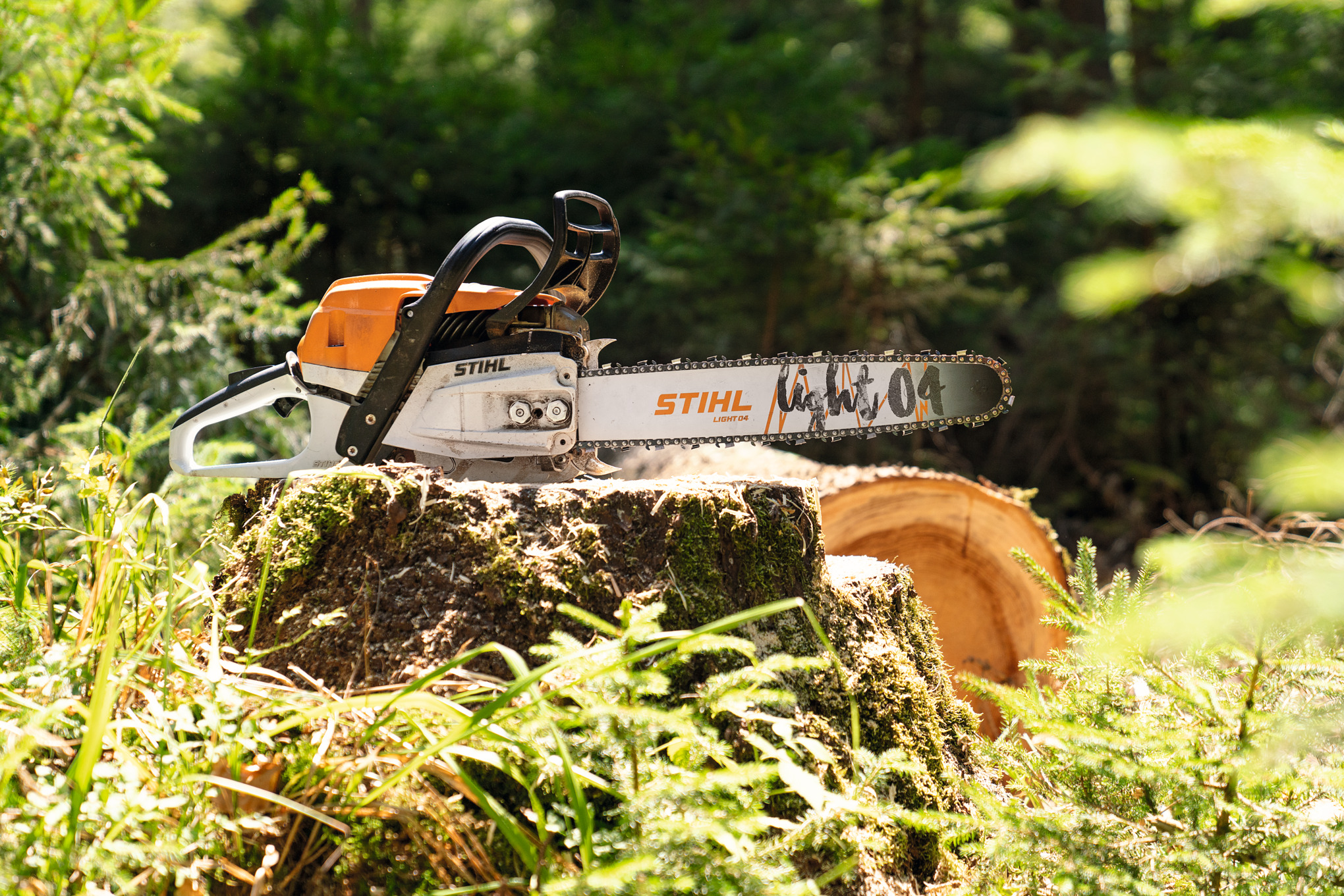 Tronçonneuse à essence STIHL MS 261 C-M sur un tronc d’arbre en forêt