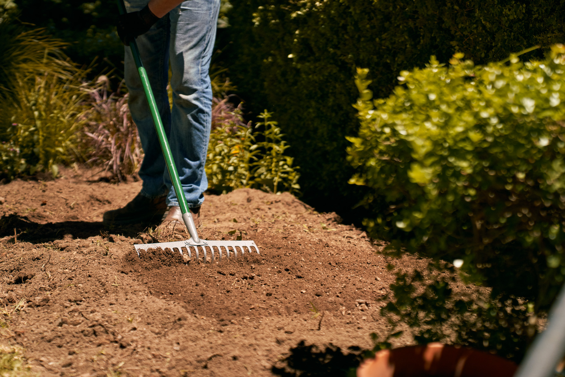 L'hydroculture : conseils de jardinage - M6