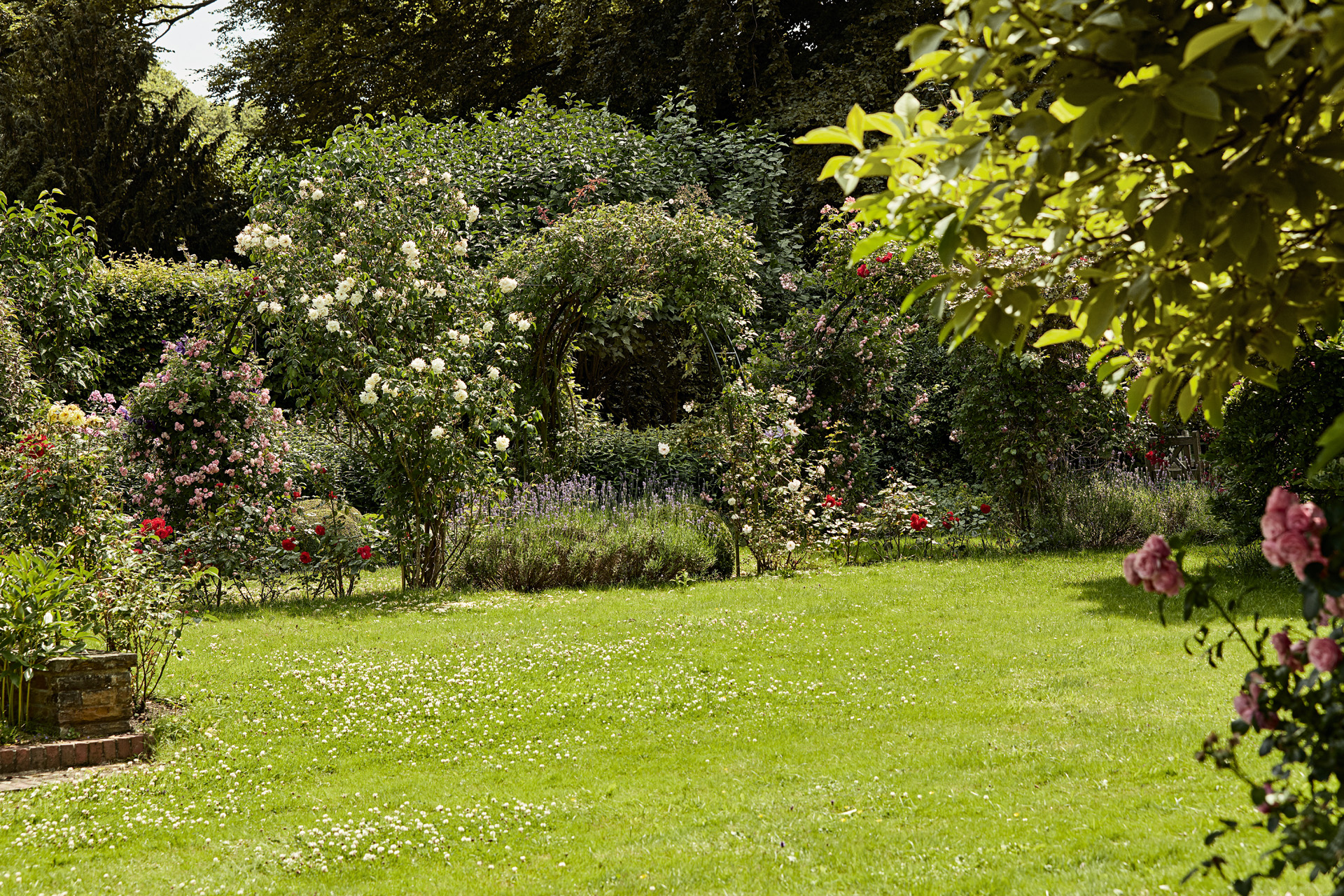 Un vaste jardin avec des roses, des arbustes et un gazon d’un vert uniforme
