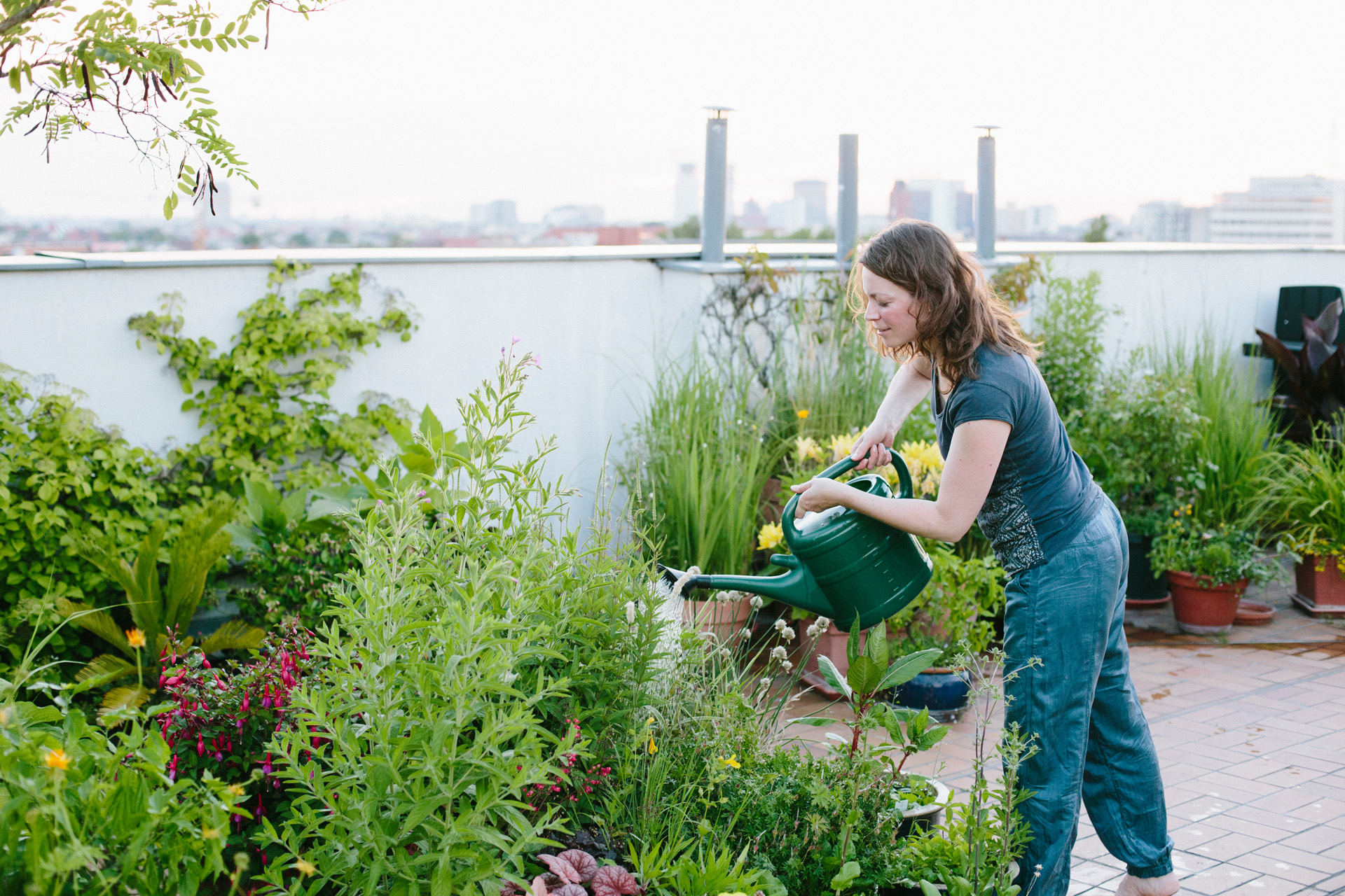 Femme arrosant des plantes sur un toit terrasse