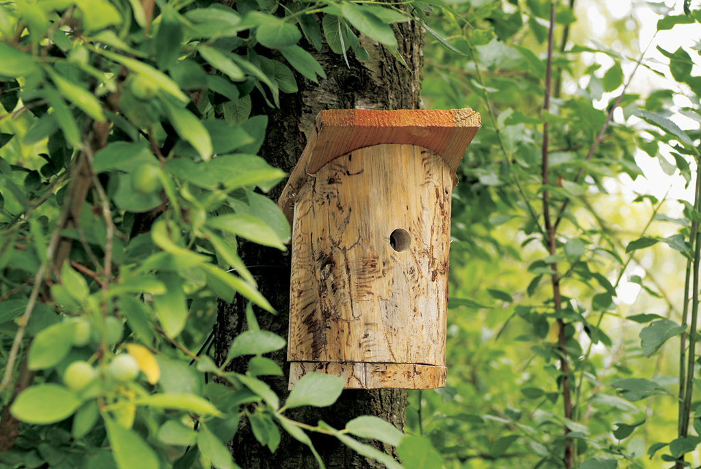 nichoir pour oiseaux en bois frêne-châtaignier- fabrication