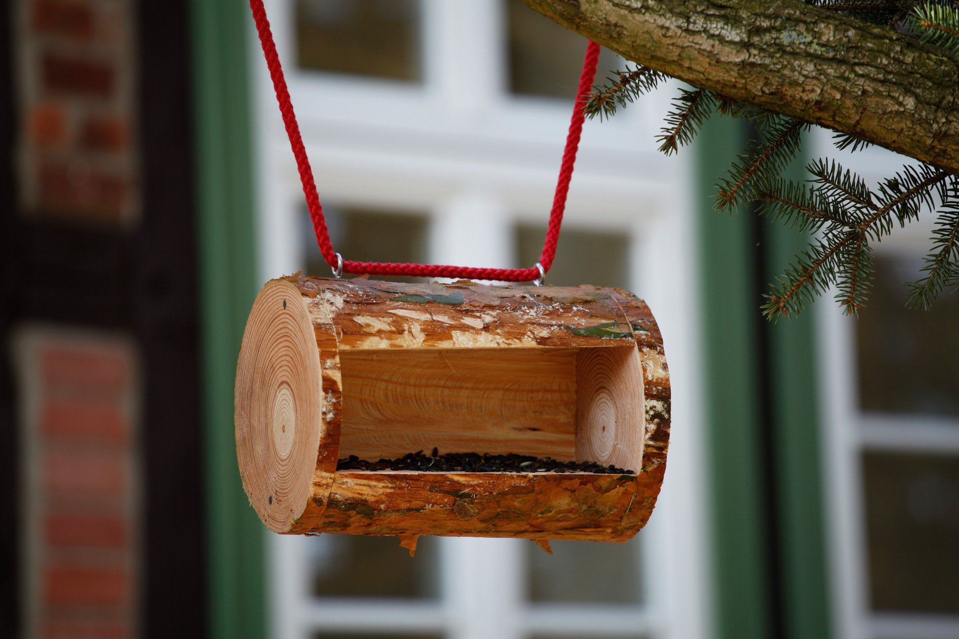 Une mangeoire à oiseaux en bois terminée, accrochée à une branche à l’aide d’une corde rouge.
