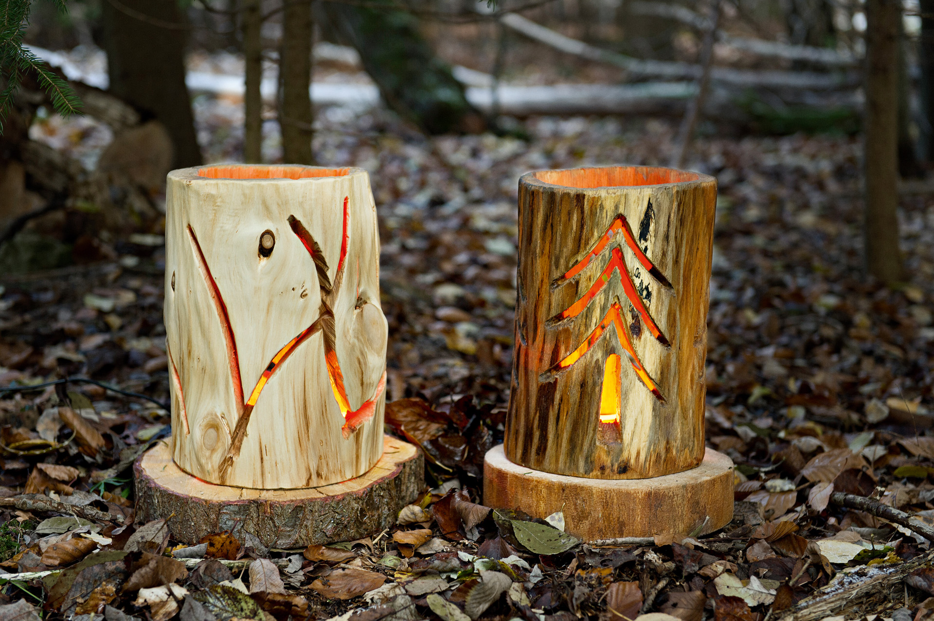 Tranche De Bois Avec Bûche De Bois De Coupe Transversale D'écorce