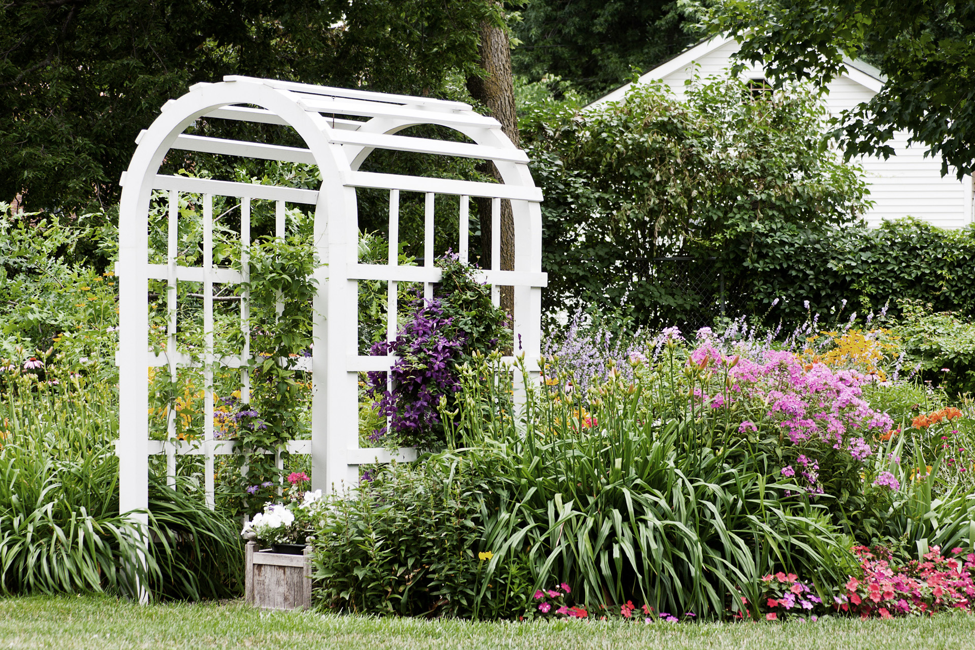 Treillage de support de plantes grimpantes blanc entre des plantes à fleurs roses et violettes dans le jardin