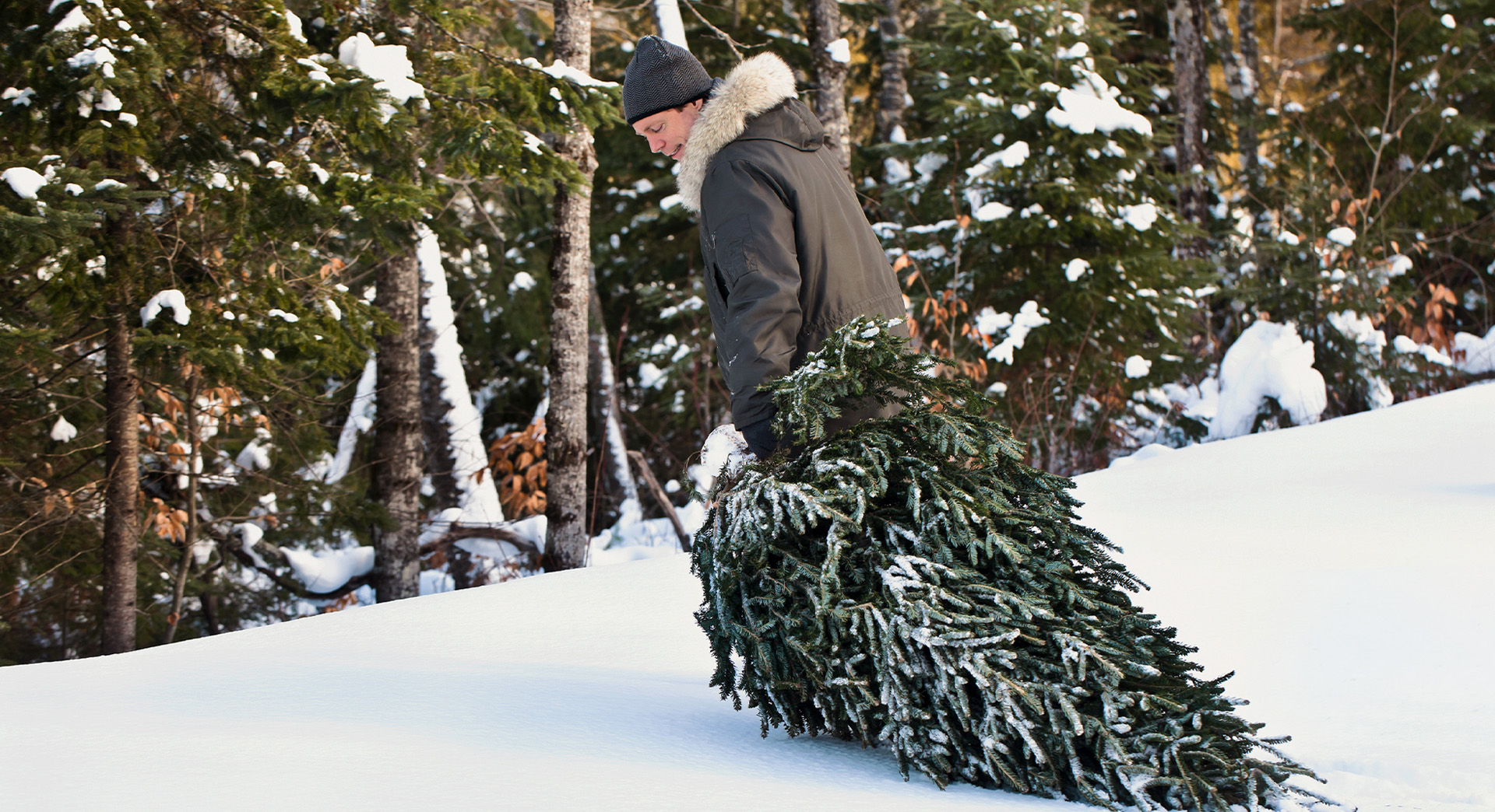 Un homme portant un bonnet et un manteau d’hiver tire un sapin de Noël sur le sol enneigé, avec une vue sur la forêt en arrière-plan