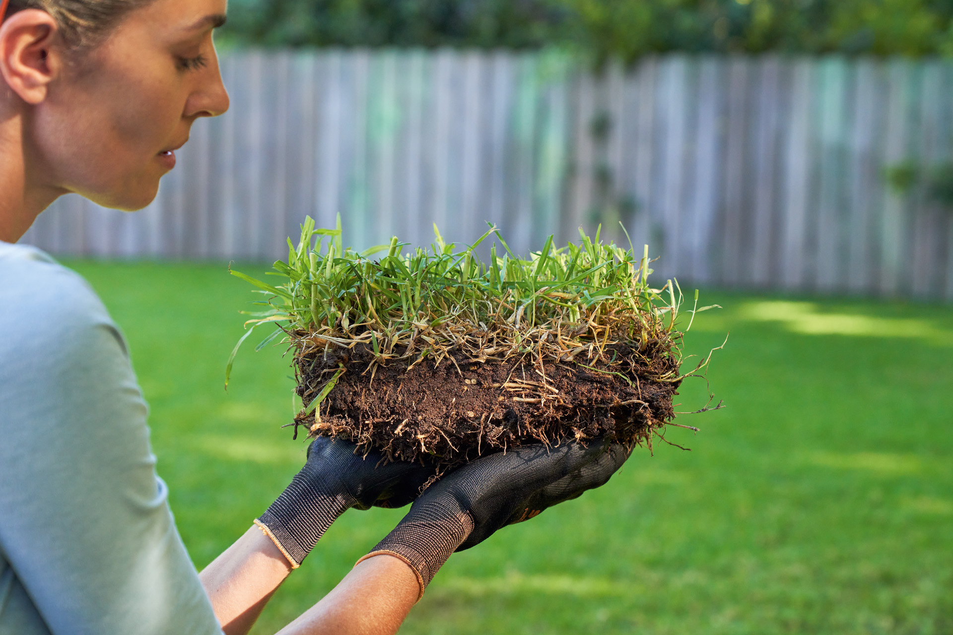 Femme tenant un morceau de gazon avant d’améliorer son sol, avec une pelouse verte et clôture de jardin en arrière-plan 