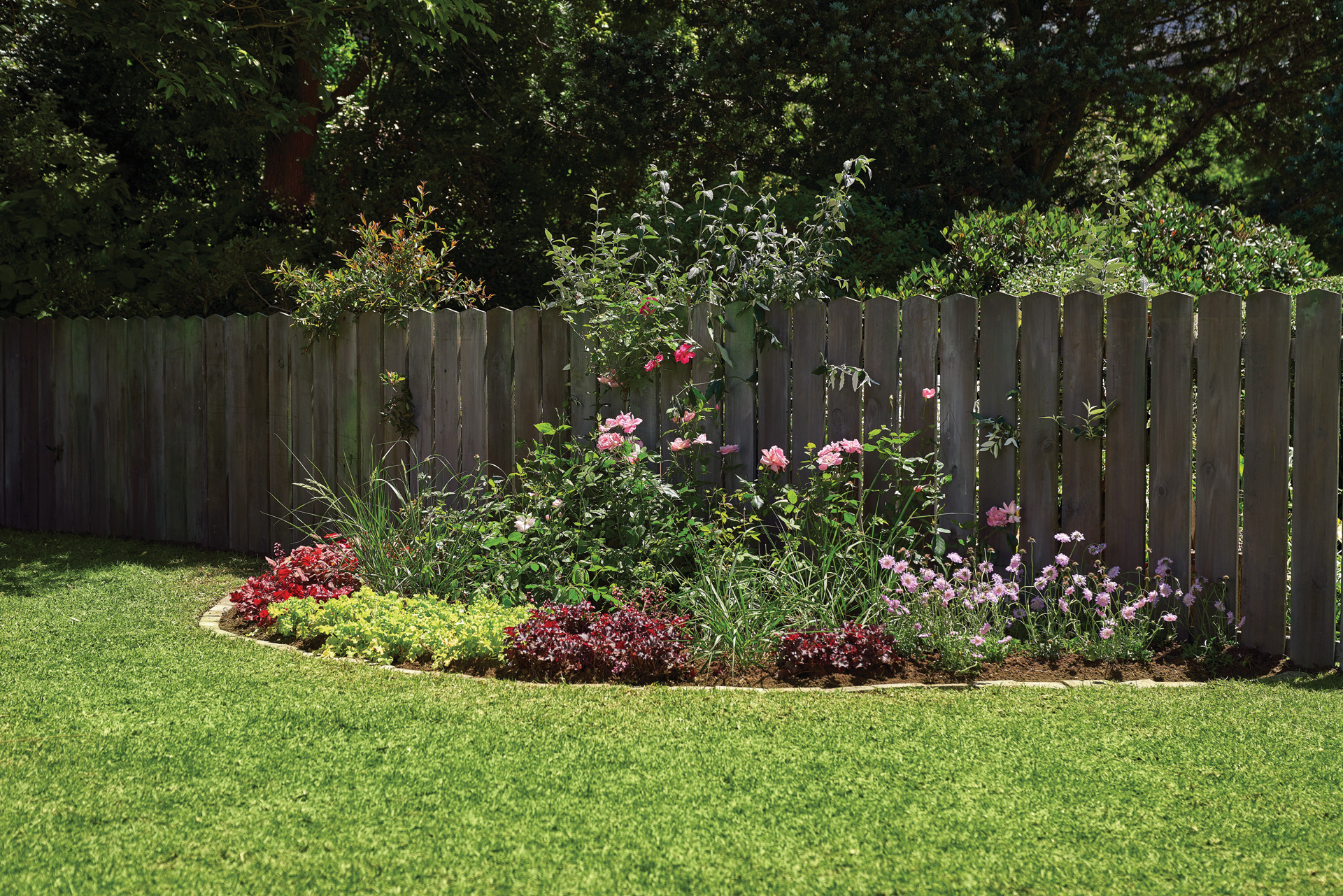 Un massif coloré de fleurs vivaces dans un jardin à côté d’une clôture en bois