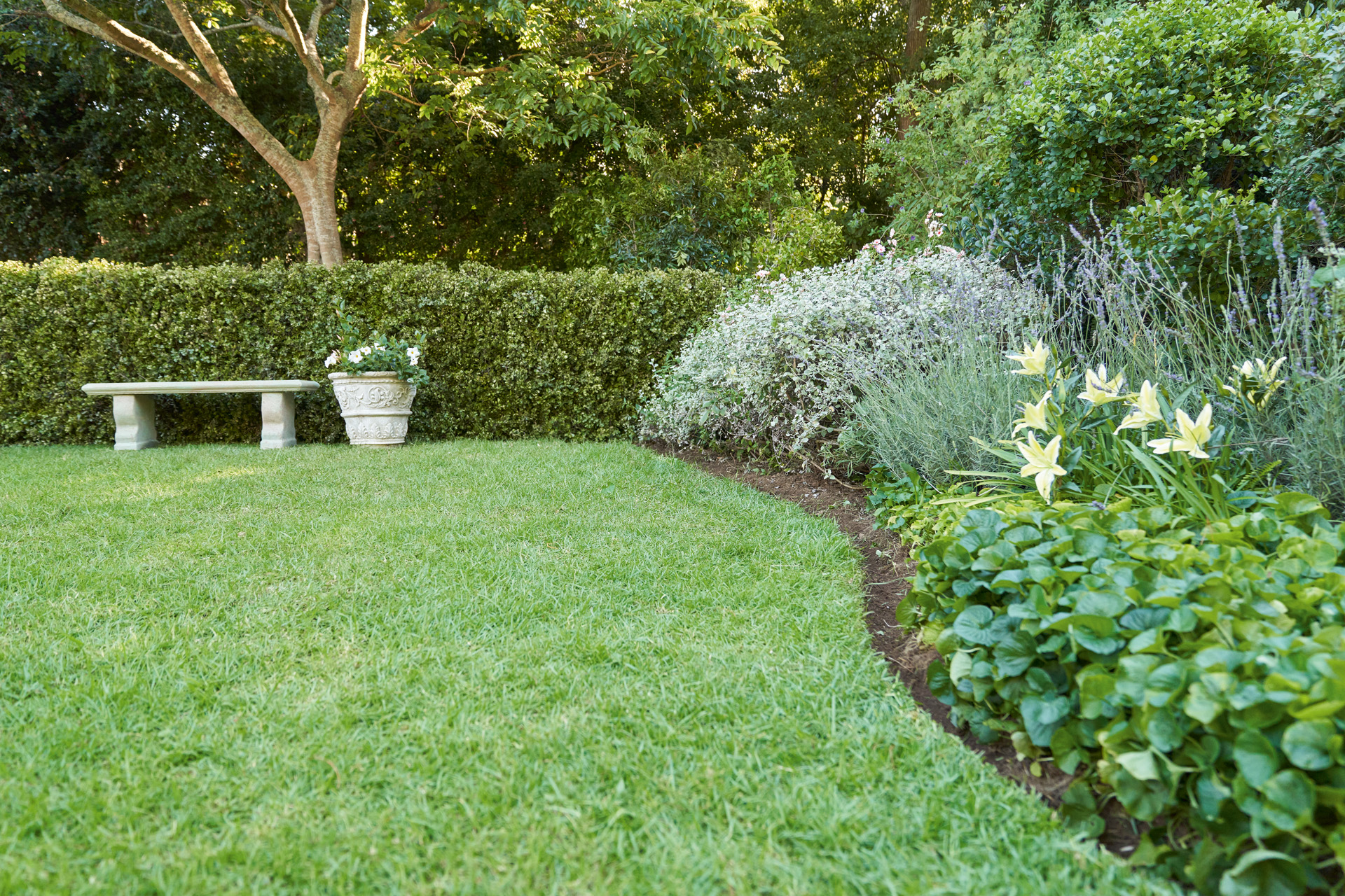 Bordure de gazon à l'anglaise incurvée délimitant un jardin