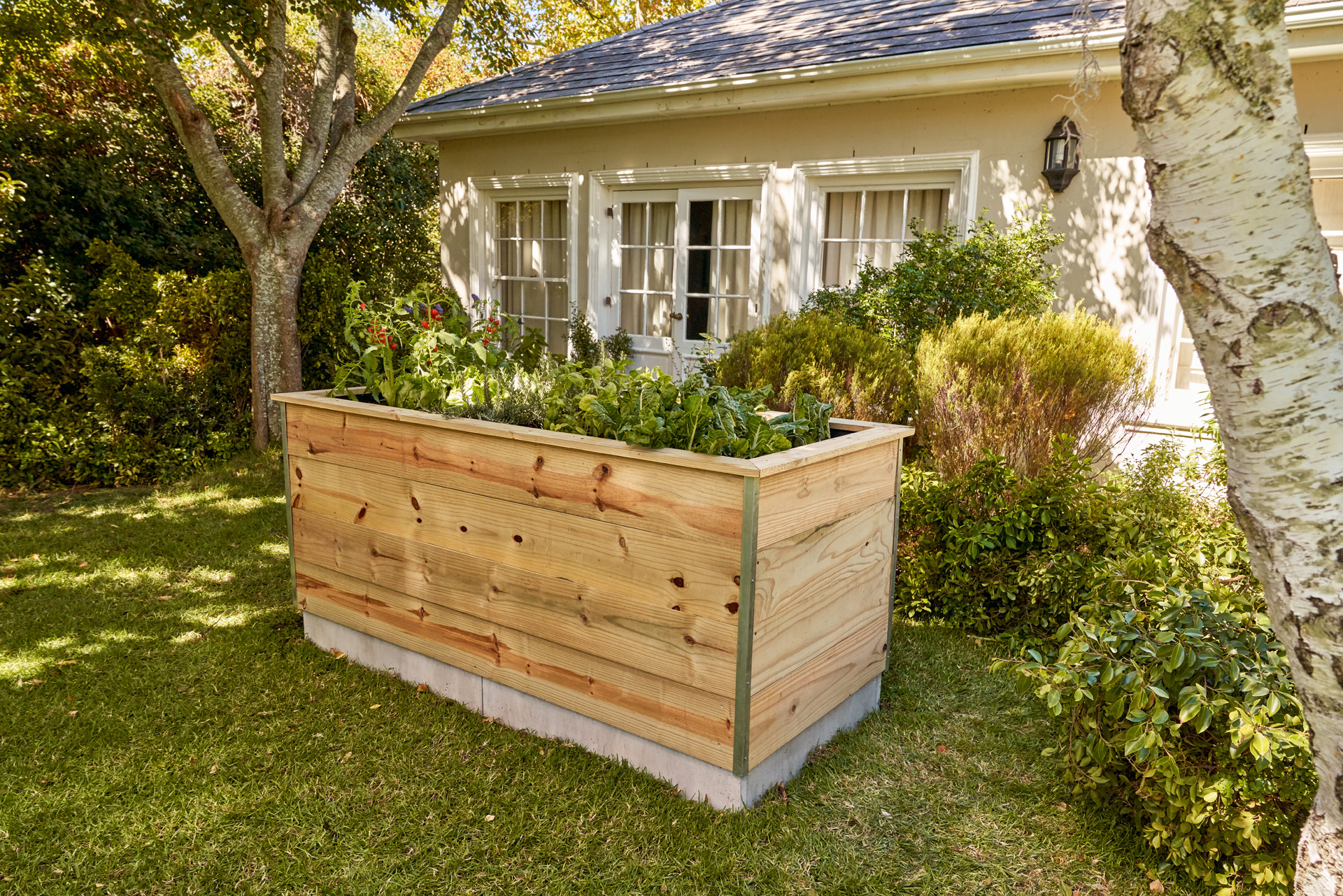 Un potager surélevé conçu avec des planches dans un jardin devant une maison