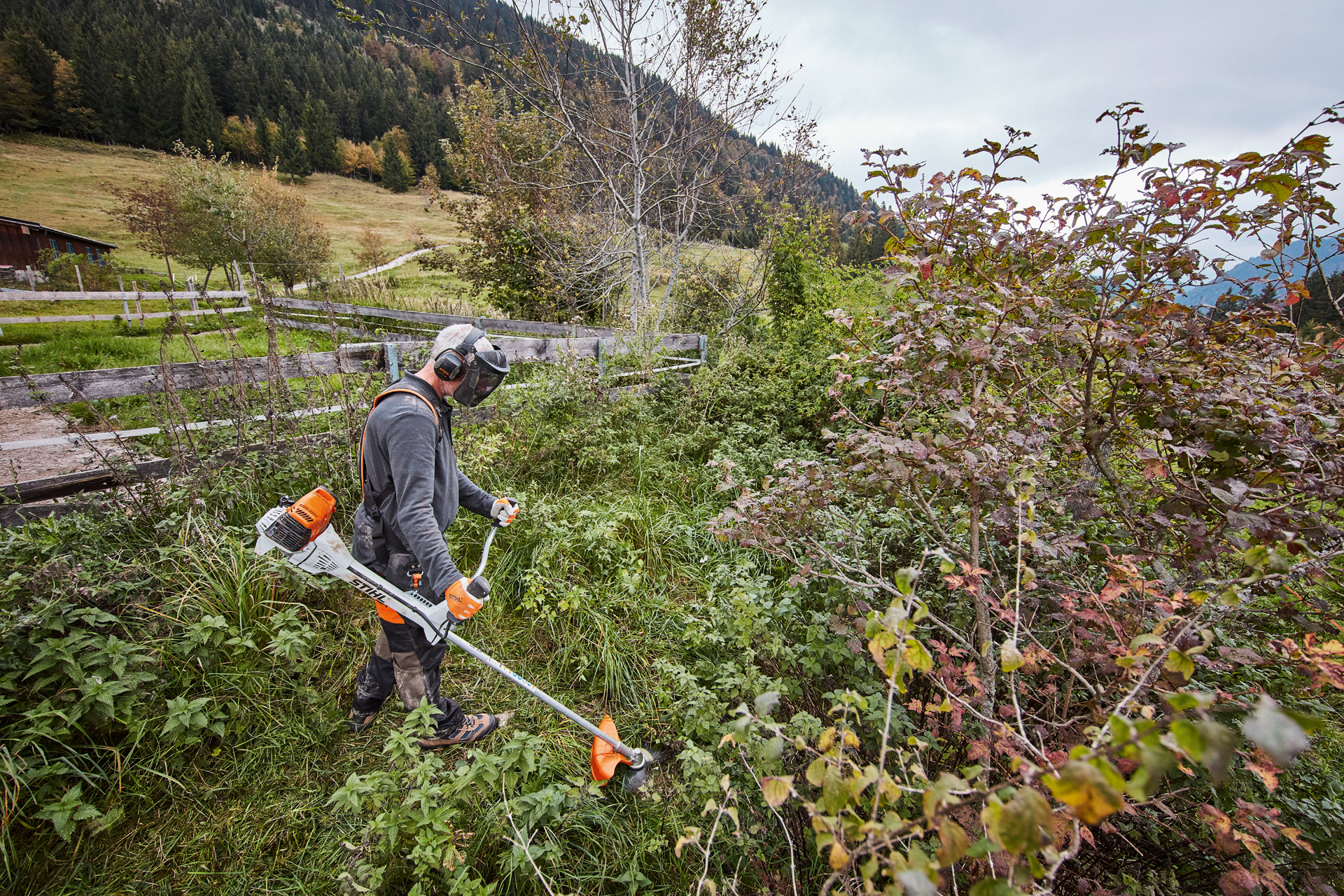 Un homme en équipement de protection coupe des broussailles denses avec une débroussailleuse thermique STIHL FS 311