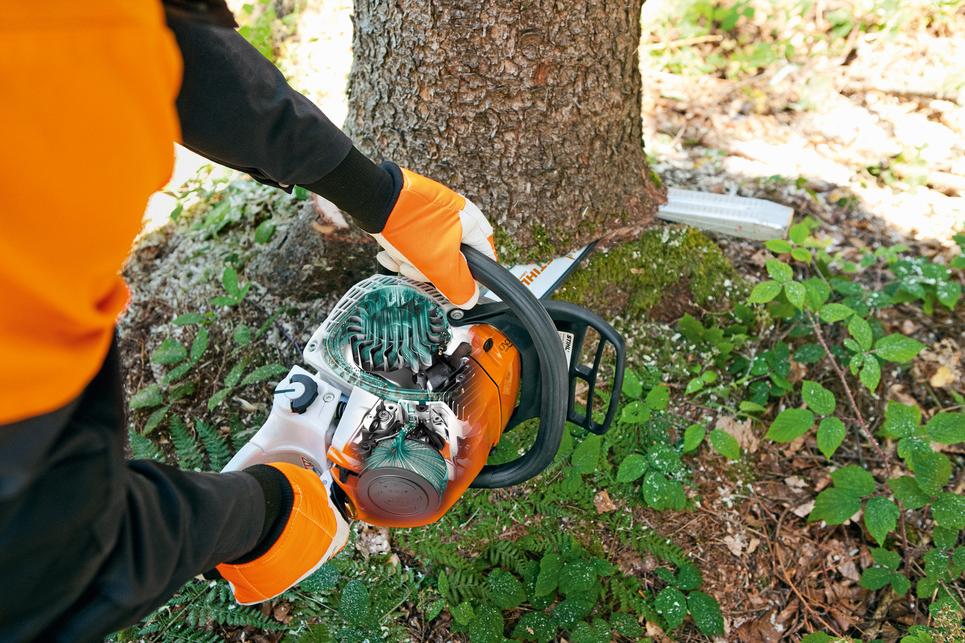 Une tronçonneuse thermique STIHL MS 241 C-M utilisée pour couper un tronc d’arbre