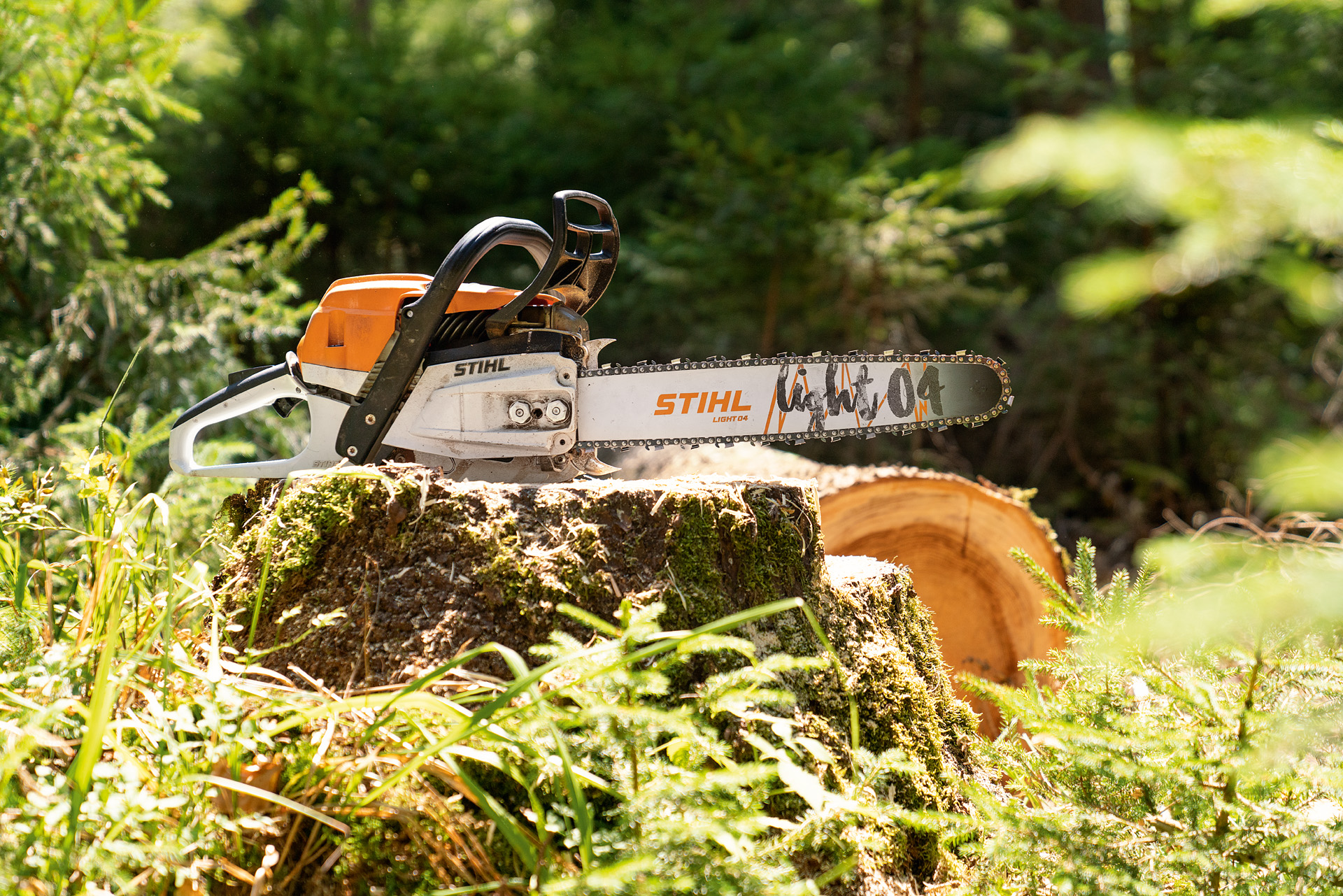 Tronçonneuse thermique STIHL MS 261 C-M posée sur une souche d’arbre