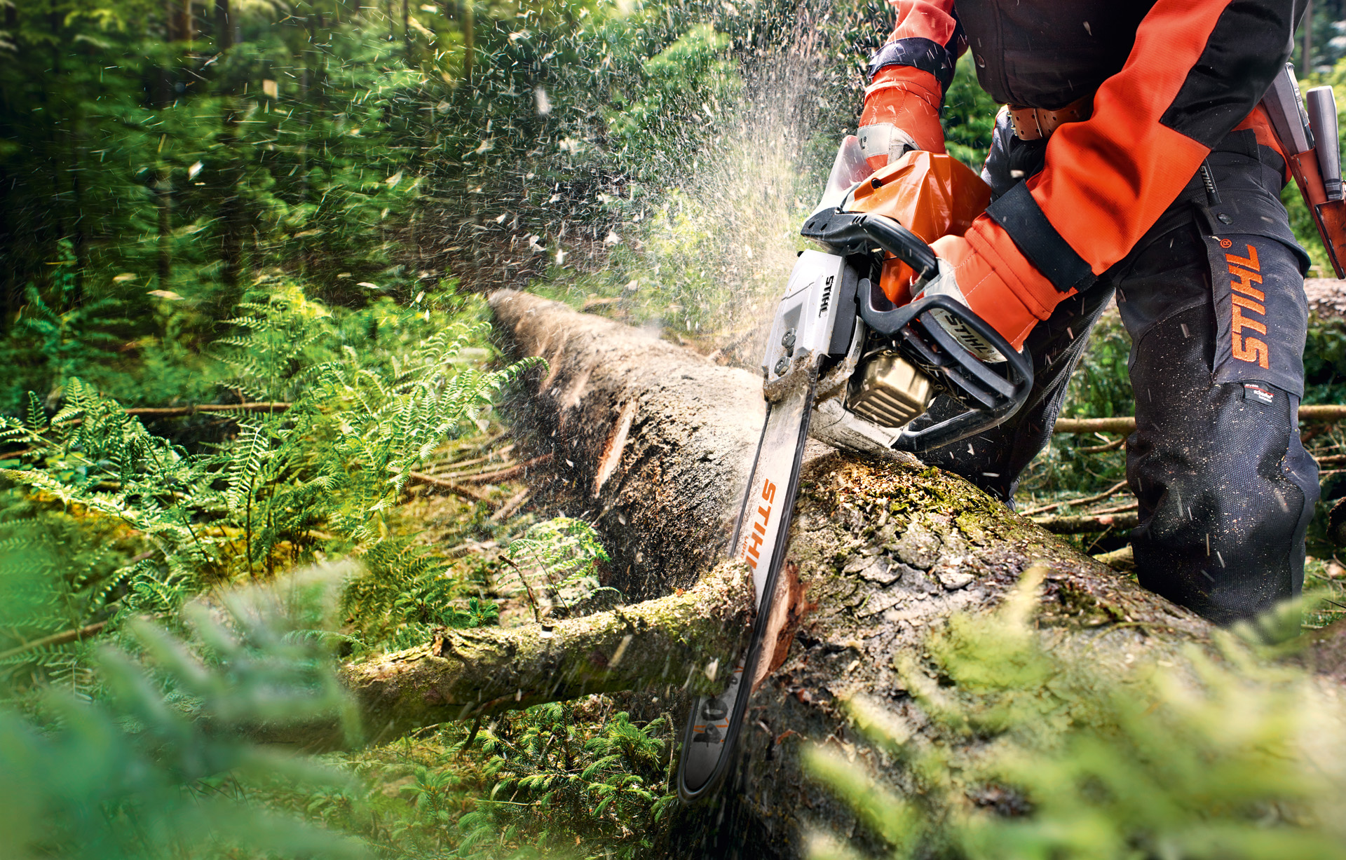 Une tronçonneuse STIHL utilisée dans une forêt pour élaguer un arbre couché sur le sol