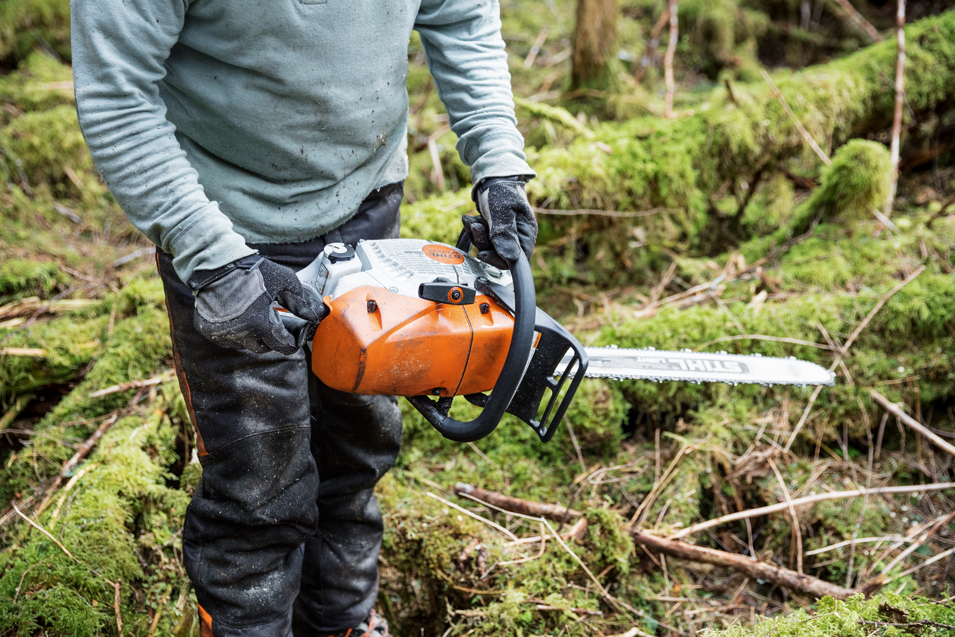 Une personne tenant une tronçonneuse thermique STIHL MS 462 C-M avec chauffage de carburateur parmi des troncs moussus en forêt