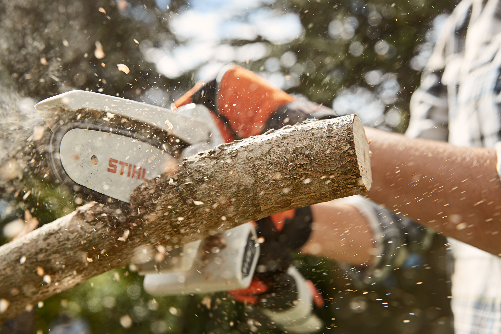 Taille d’une branche d’arbre fruitier à l’aide de la scie de jardin à batterie STIHL GTA 26