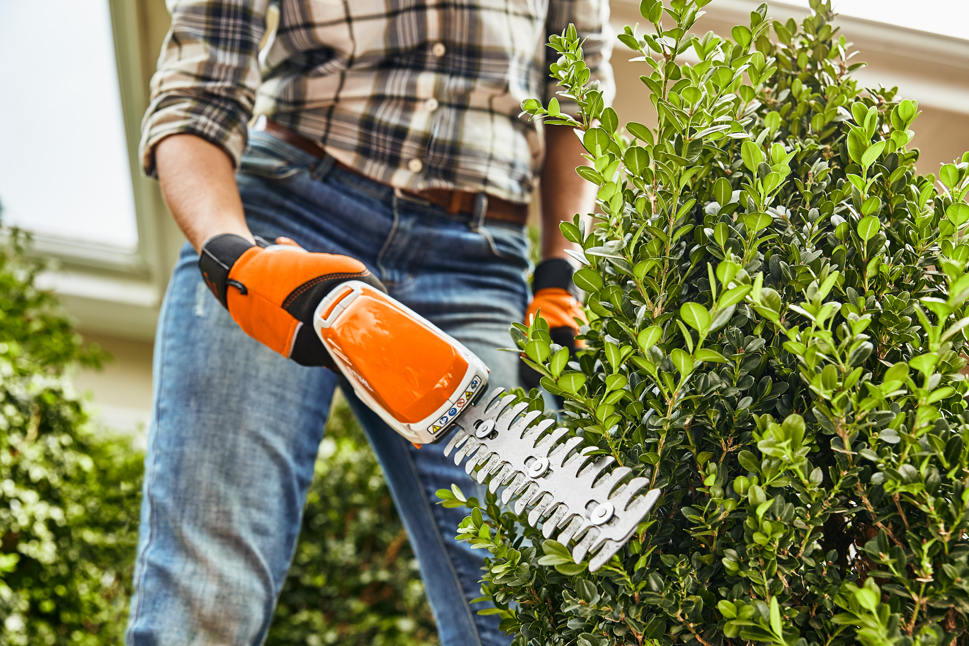 Un homme taille un arbuste avec une cisaille à arbustes à batterie STIHL HSA 26