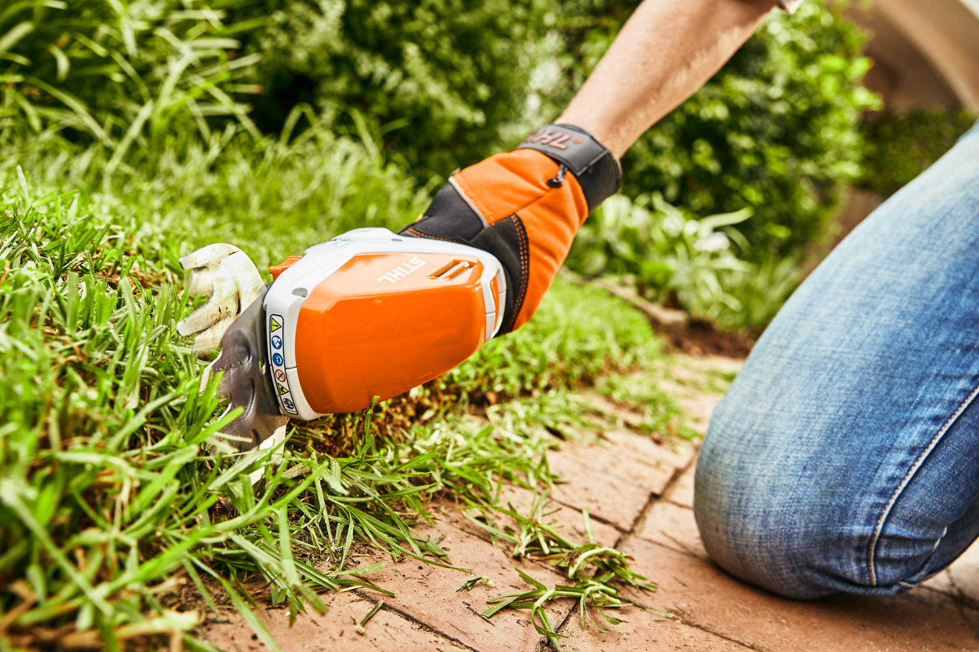 Une cisaille à gazon à batterie STIHL HSA 26 utilisée pour couper les bordures d’un gazon