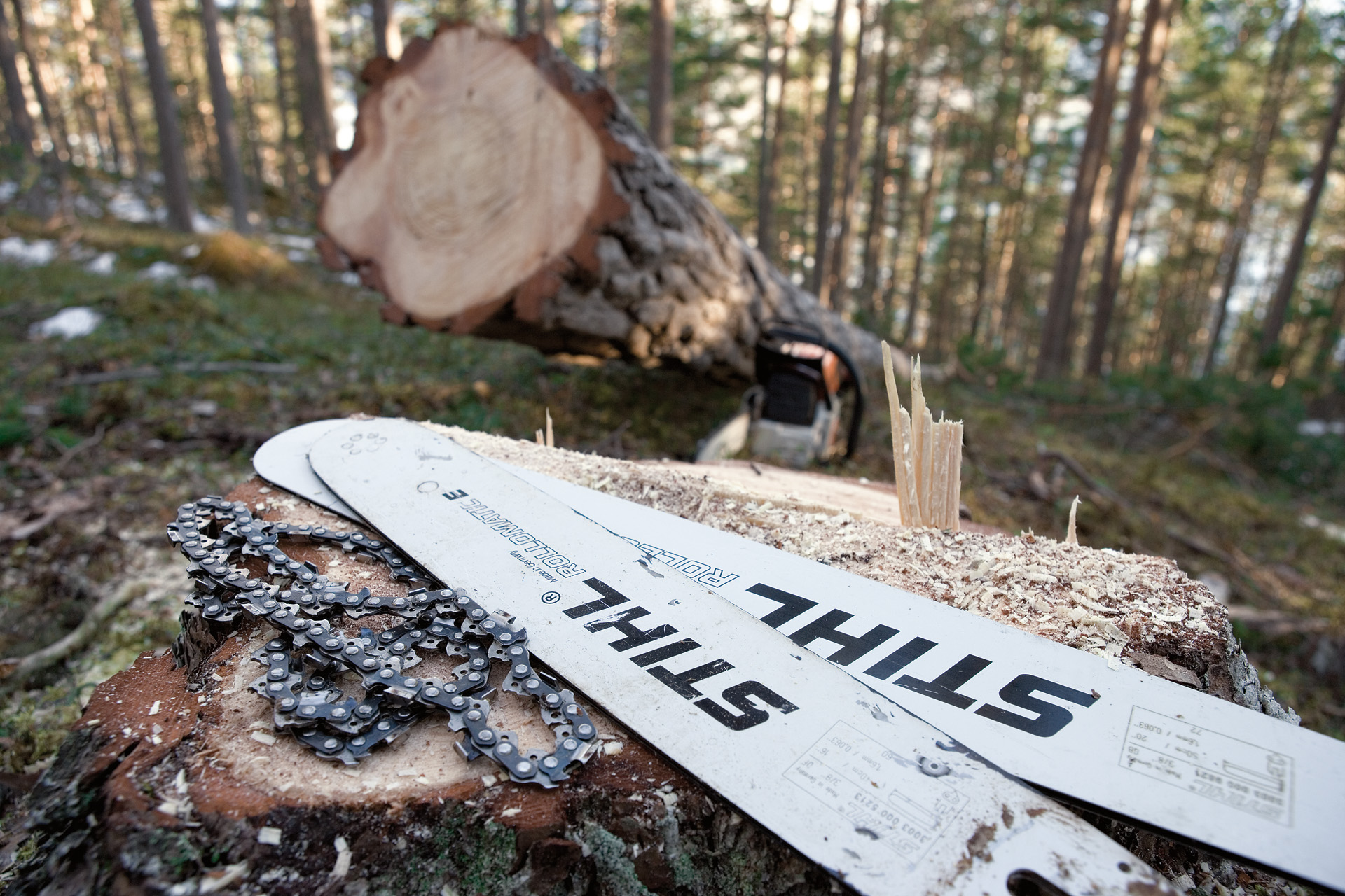 TUTO STIHL] Premier démarrage d'une tronçonneuse thermique STIHL 