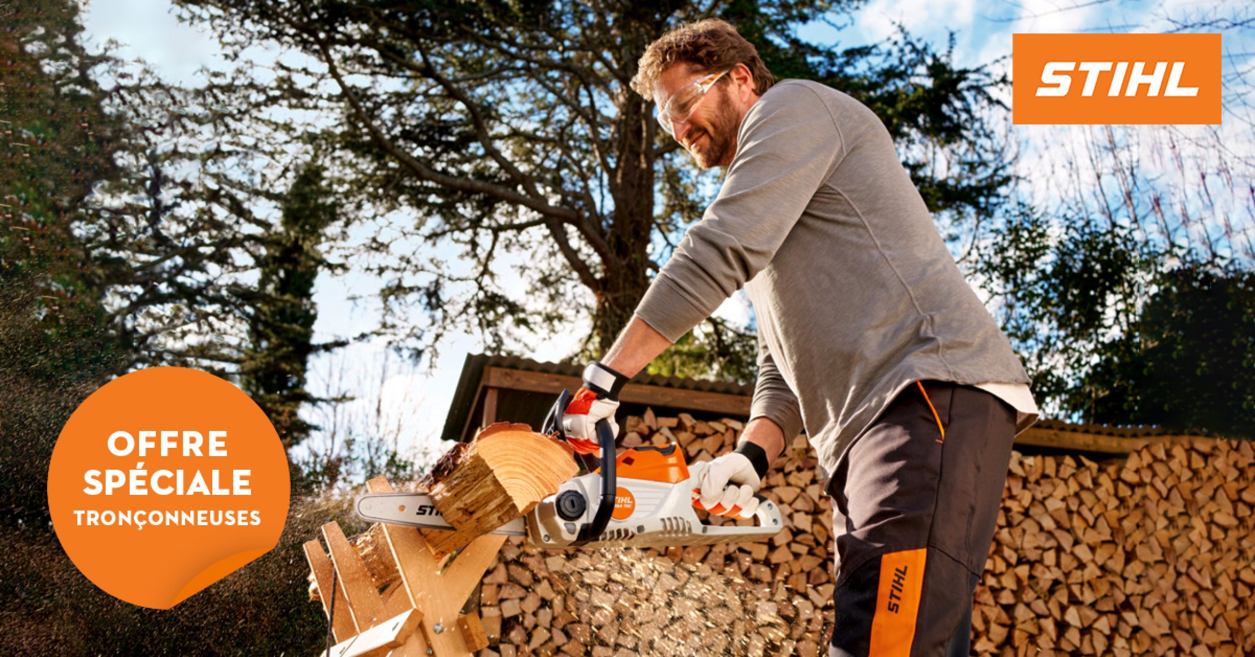 feuilles d'automne dans des branches multicolores. Orange Deals chargez les économies