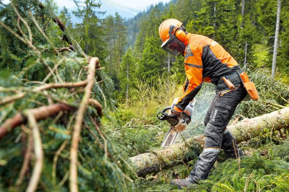 Un homme dans une forêt portant un équipement de protection individuelle STIHL et en train de couper un tronc d’arbre avec une tronçonneuse STIHL. 