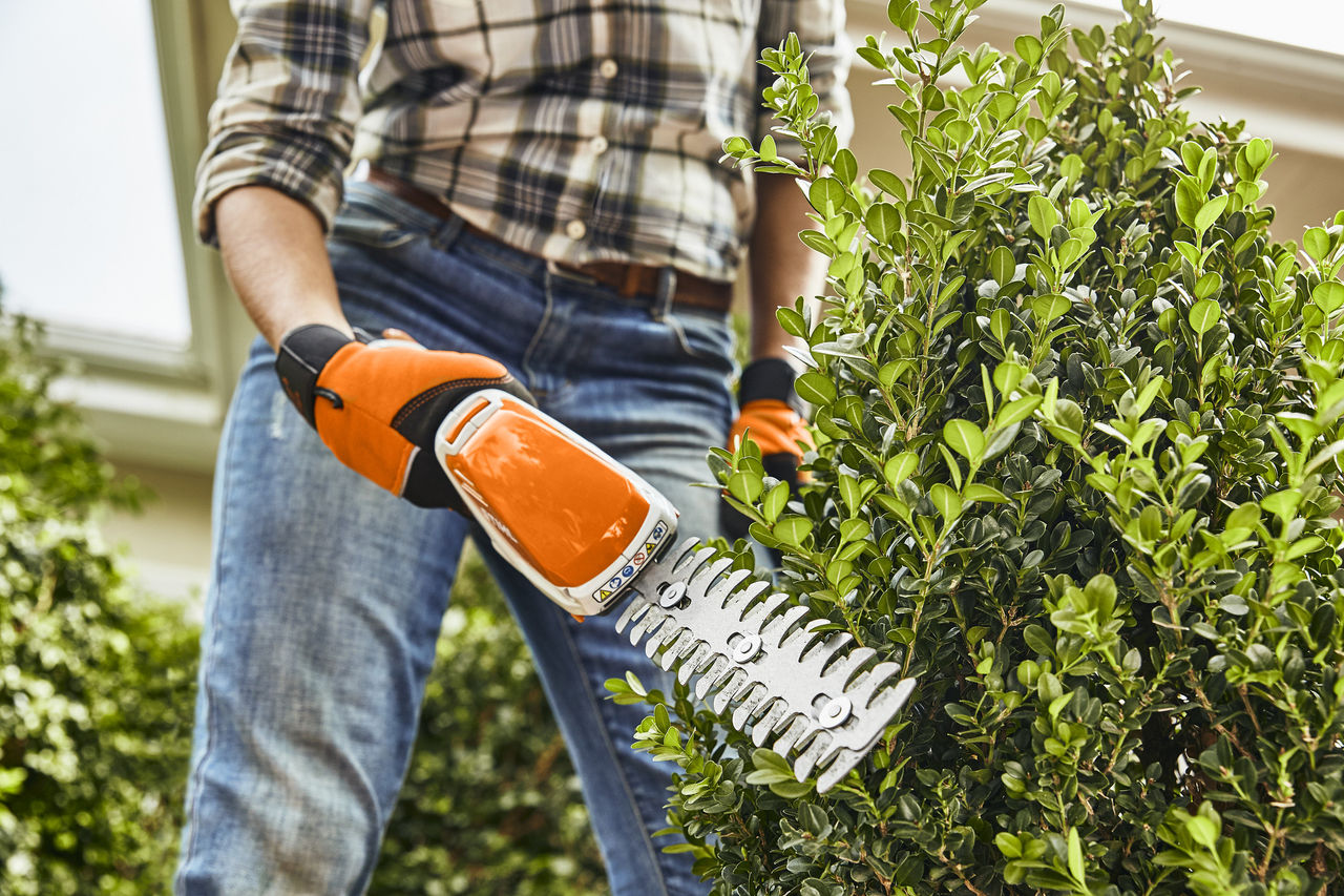 Gros plan sur la taille d’un buis avec le taille-haies à batterie STIHL HSA 26