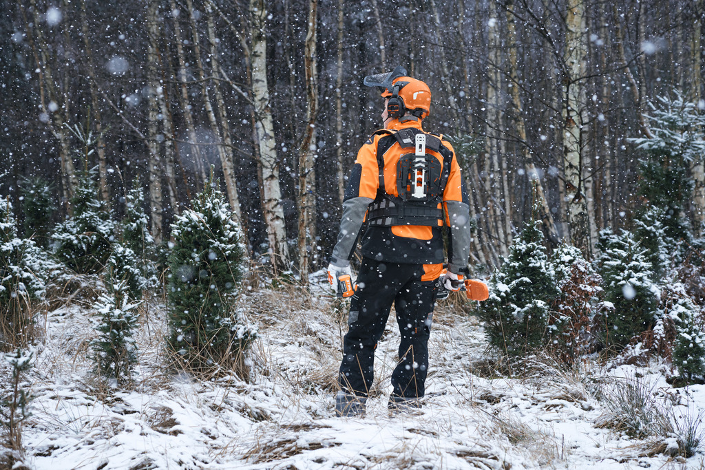 entretien des jeunes arbres avec des outils professionnels STIHL