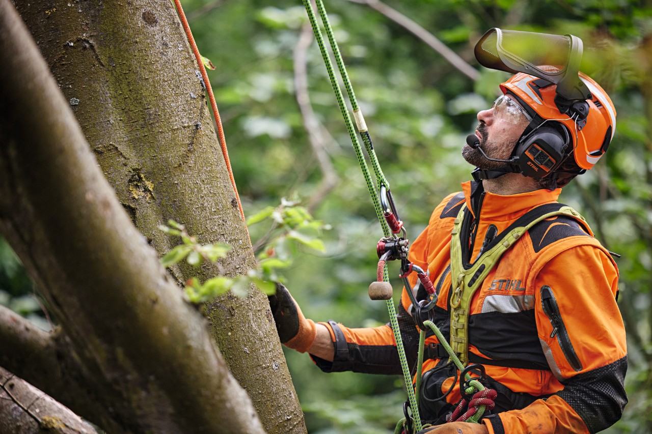 Professionnel portant son équipement de protection suspendu dans un arbre