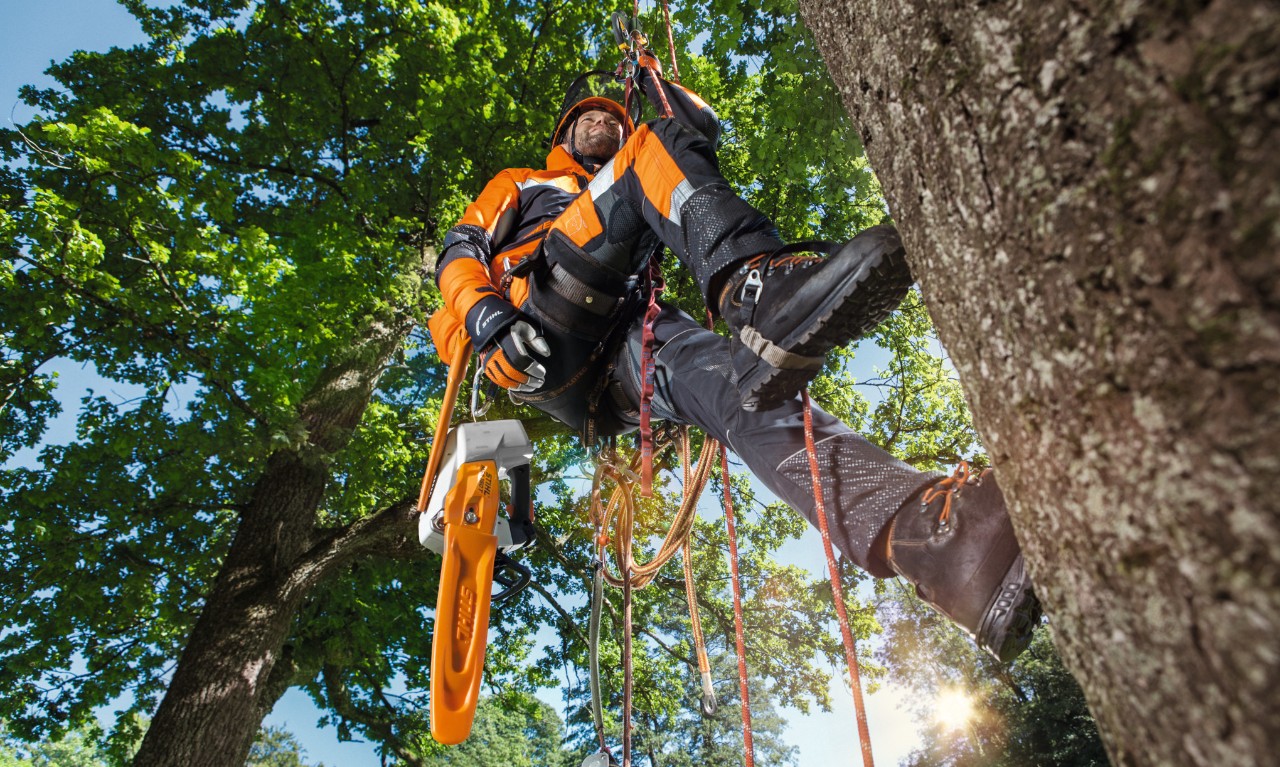 homme controle et sécurité des arbres avec stihl
