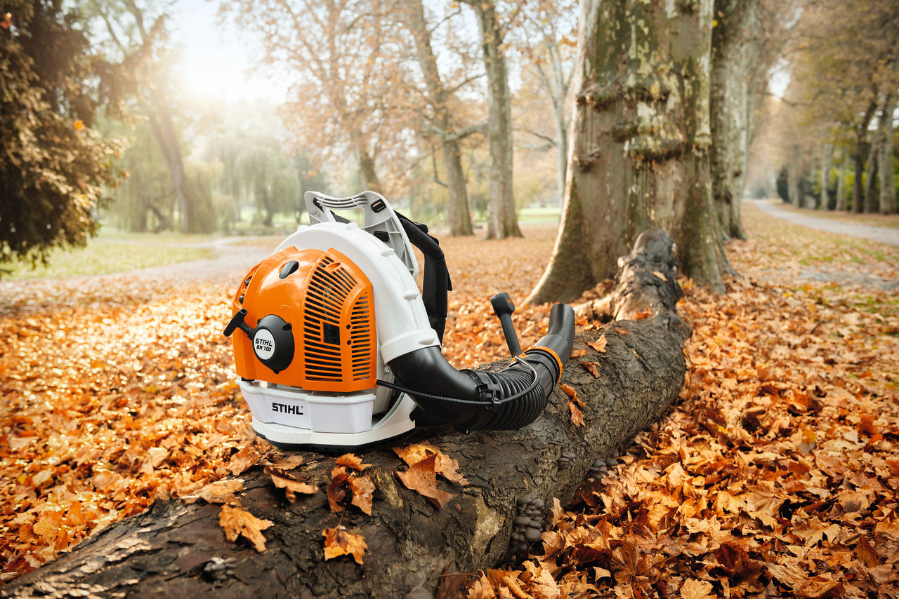 un souffleur thermique BR 700 posé sur une branche d'arbre au sol dans une foret avec des feuilles mortes