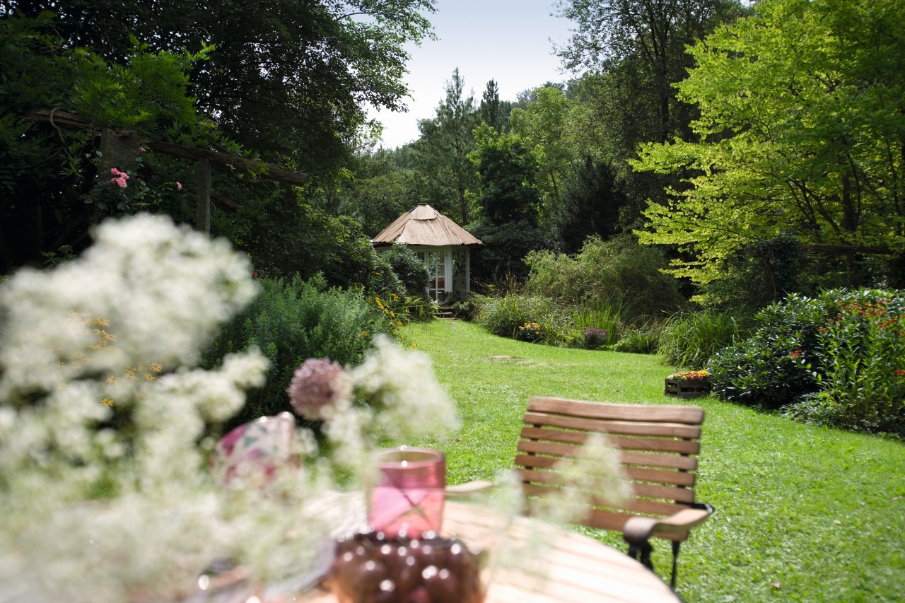 Entretien du jardin dans un jardin vert avec une chaise au premier plan et un hangar à l’arrière-plan