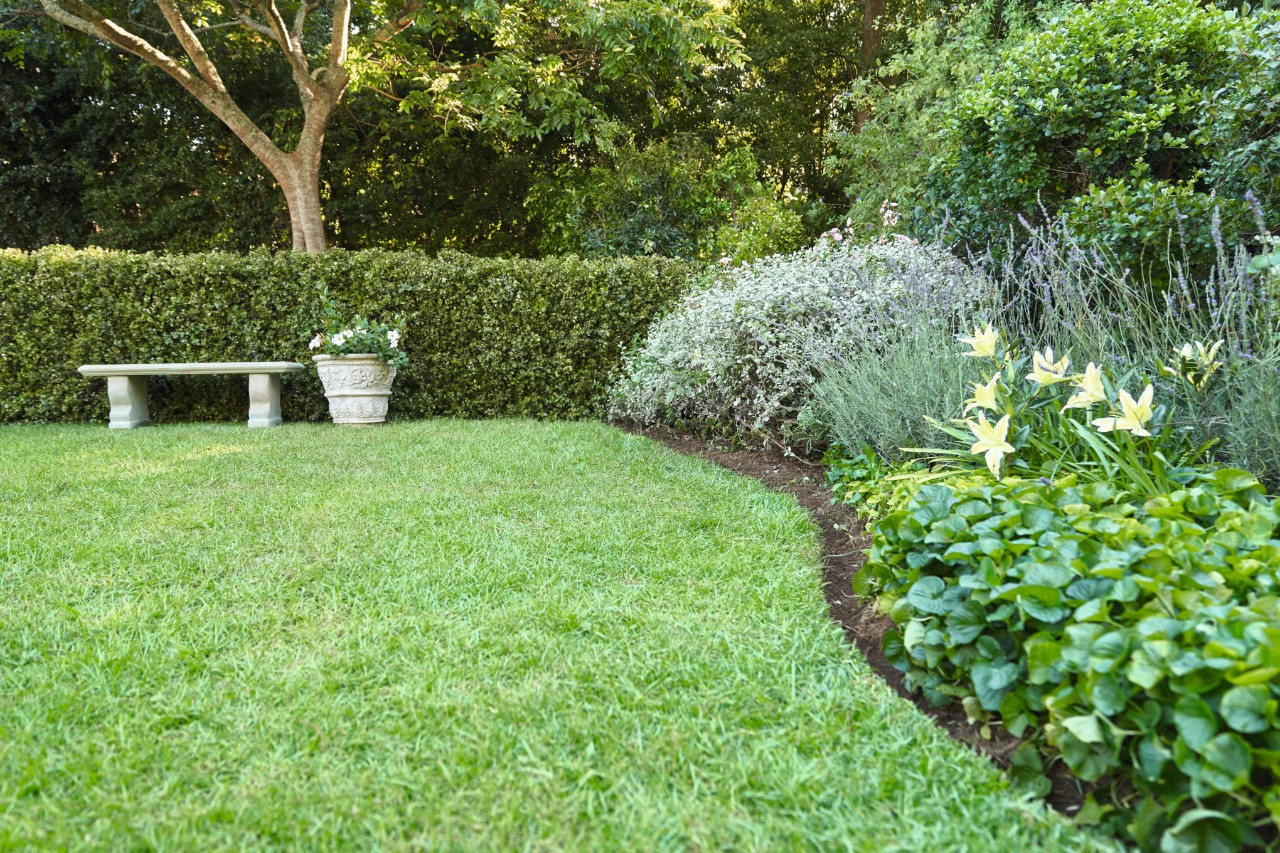 Bordure de gazon à l’anglaise incurvée délimitant un jardin