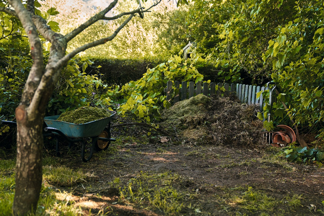 Brouette remplie de déchets de jardin à côté d’un tas de compost