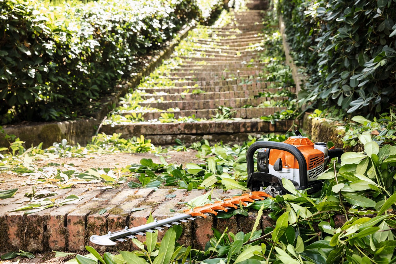 Le taille-haie à essence STIHL HS 82 T se trouve entre les feuilles vertes d’un escalier avant l’entretien