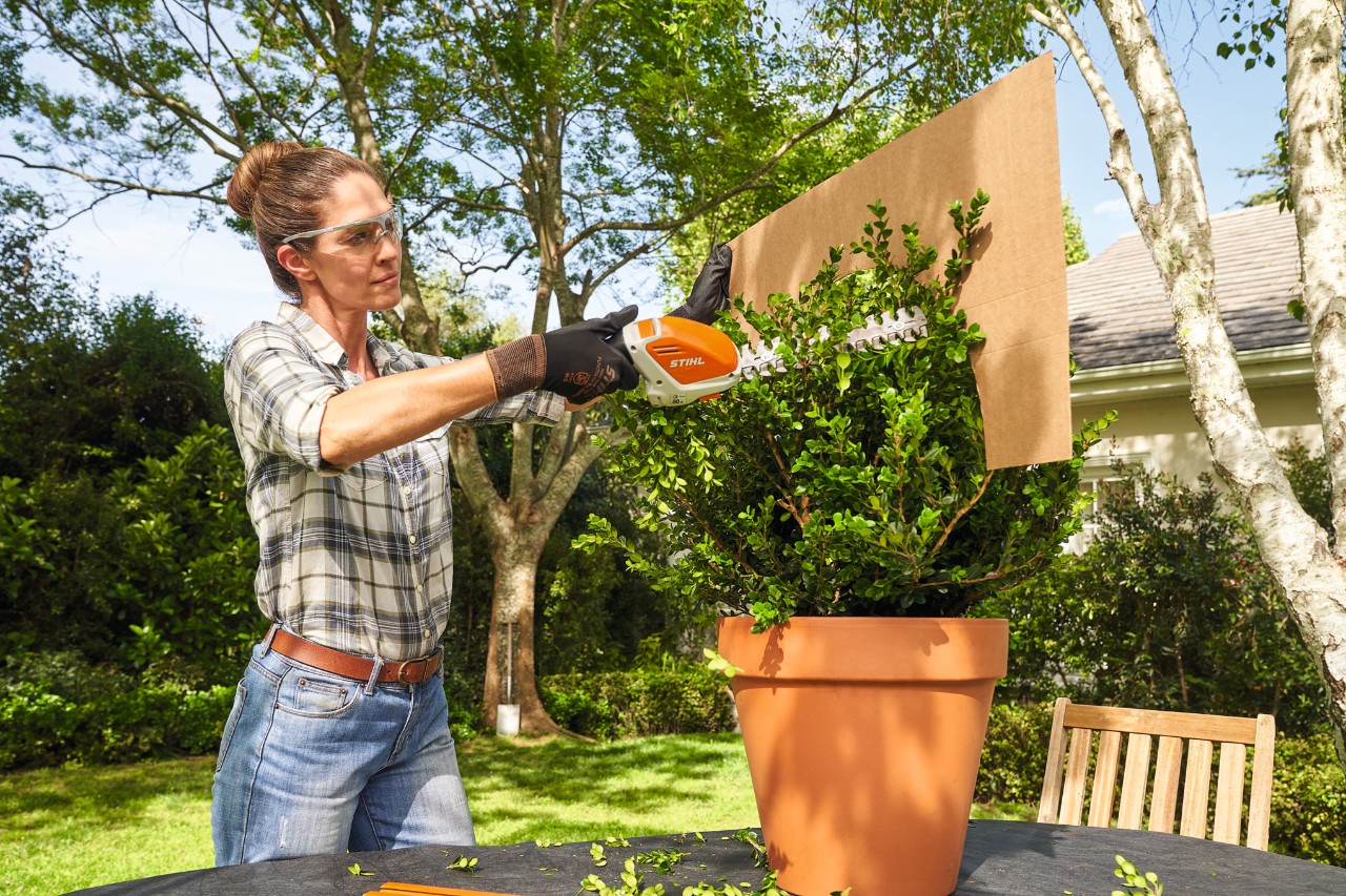 Femme taillant un buis en boule avec le taille-buis à batterie STIHL HSA 26 à l’aide d’un gabarit en carton